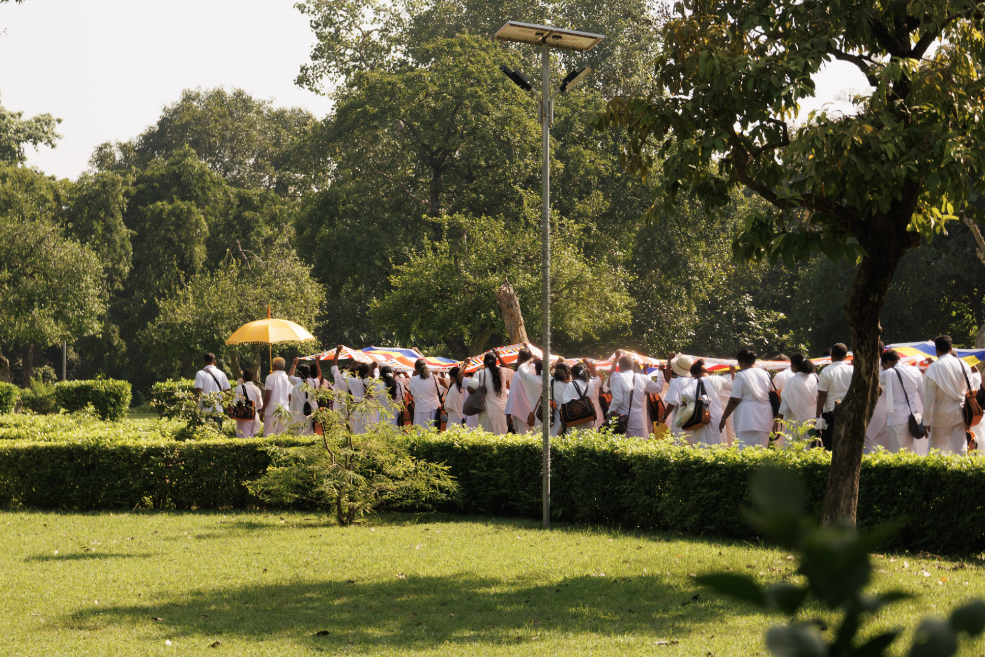 A group of people dressed in white walking outdoors in a park with lush green trees and bushes, some carrying umbrellas and bags, under bright sunlight.
