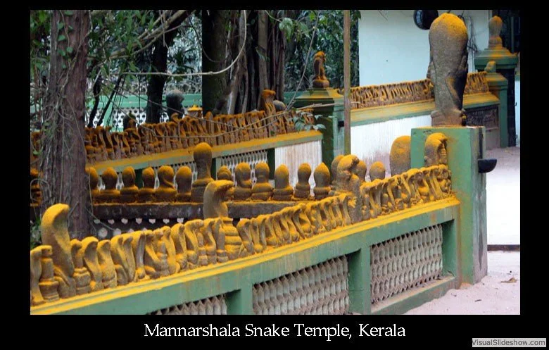 Ornamental fence around Mannarshala Snake Temple in Kerala, decorated with numerous small snake sculptures.