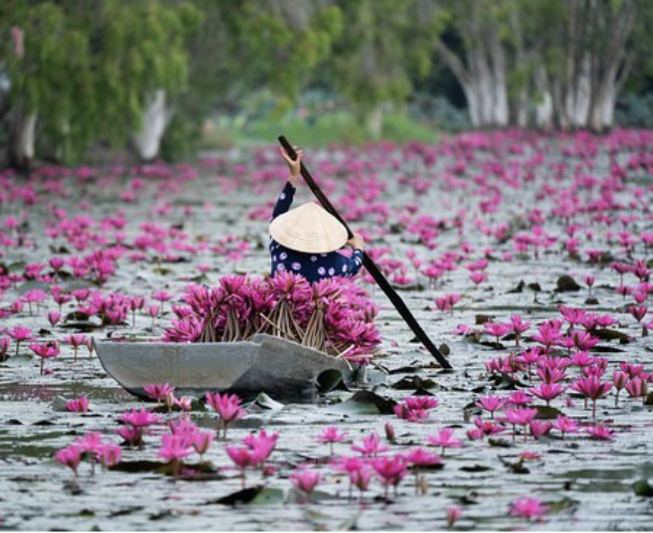 Group of people relaxing outdoors under a tree, some sitting and one lying down, with lush greenery in the background.