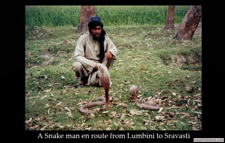 A man dressed in traditional clothing crouching on the grass beside two cobras with a background of trees and grass.
