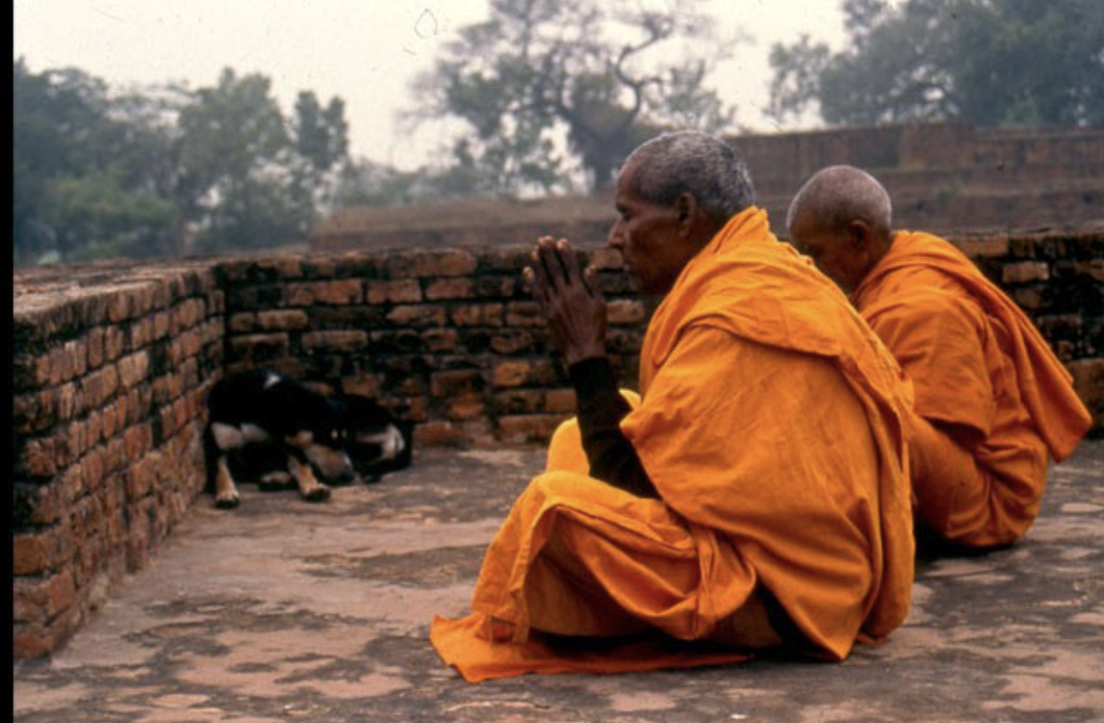 Two elderly monks in orange robes praying on a stone platform near a brick wall, with a black and white dog lying beside them.