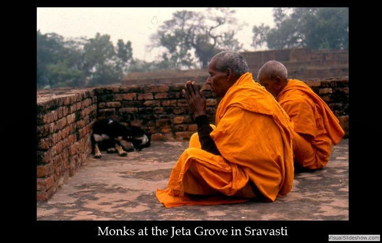 Two monks dressed in orange robes sitting on the ground, praying or meditating near a brick wall with a cow lying in the background, at the Jeta Grove in Sravasti.