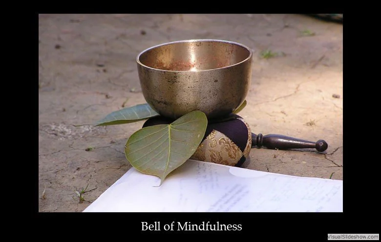 A singing bowl resting on a padded cushion, with two large green leaves in front, a sheet of paper, and a wooden mallet nearby, set outdoors on the ground.