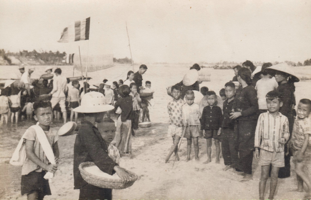 A group of baboons sitting on rocky terrain overlooking a scenic landscape with green fields, scattered trees, distant mountains, and a cloudy sky.