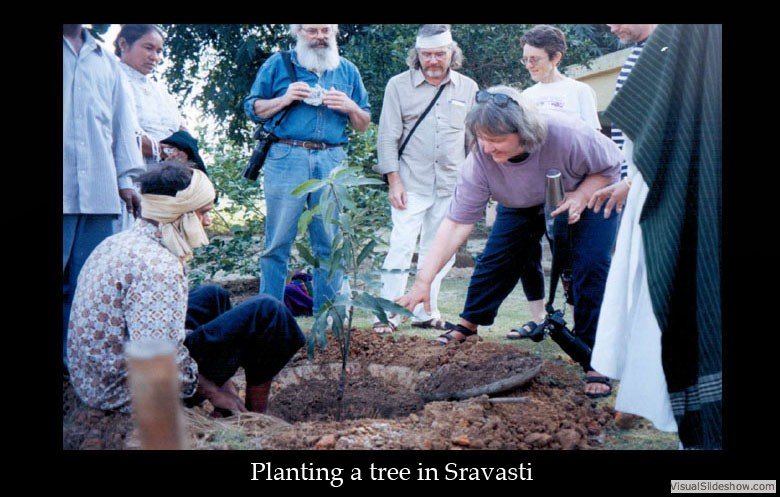 A group of diverse people gathered outdoors, planting a tree in the soil, with one woman actively placing the tree into the ground. The scene appears to be a community or environmental event.