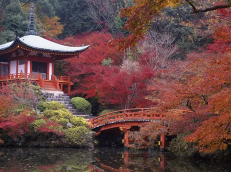 A historic temple with intricate architectural details during a colorful sunset with trees in the foreground.