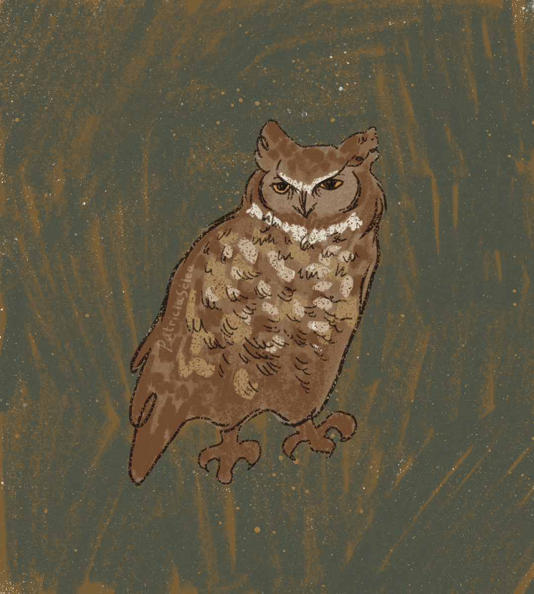 Owl