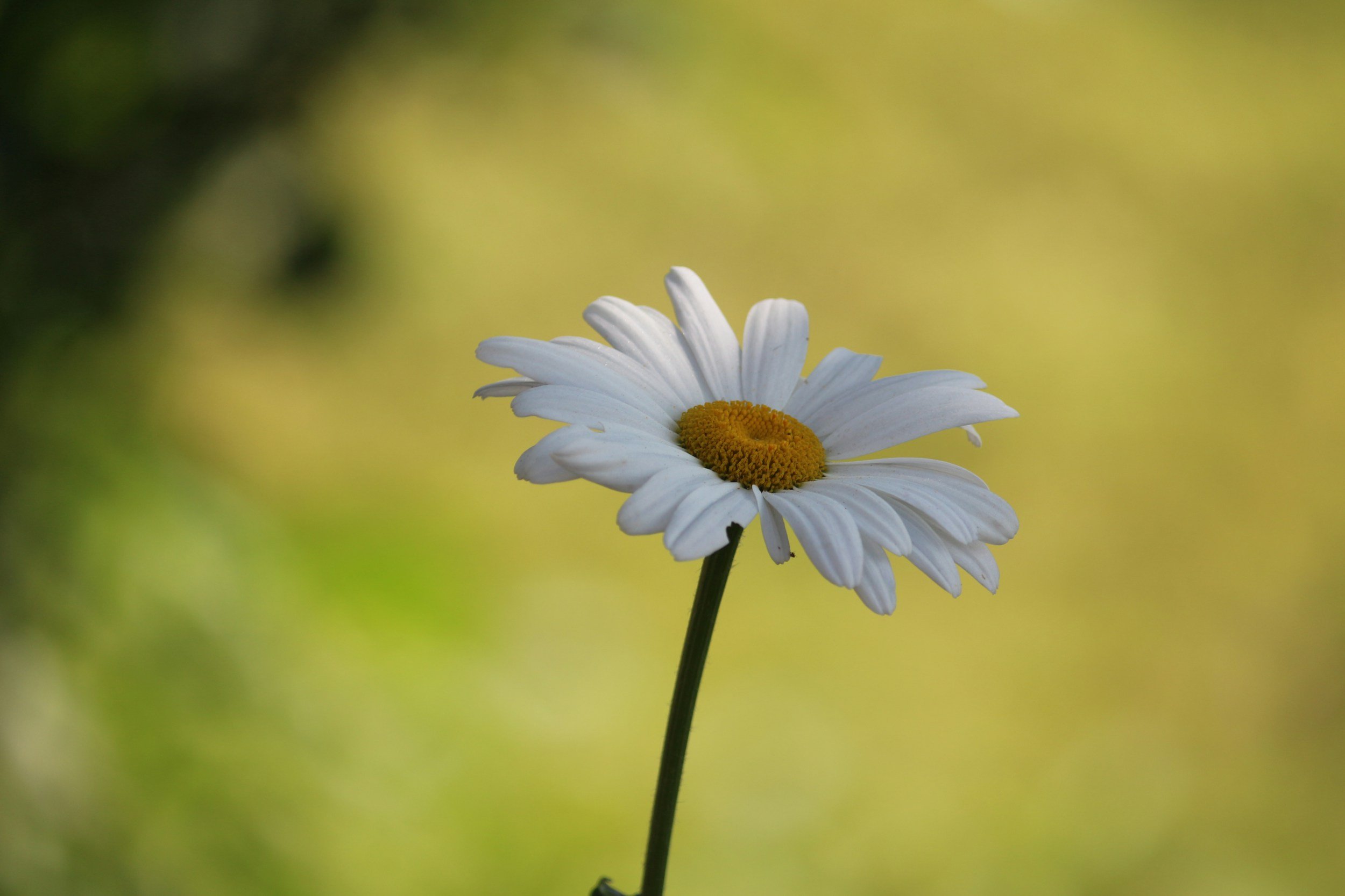 unsplash-image-VZq4gMY2570.jpg