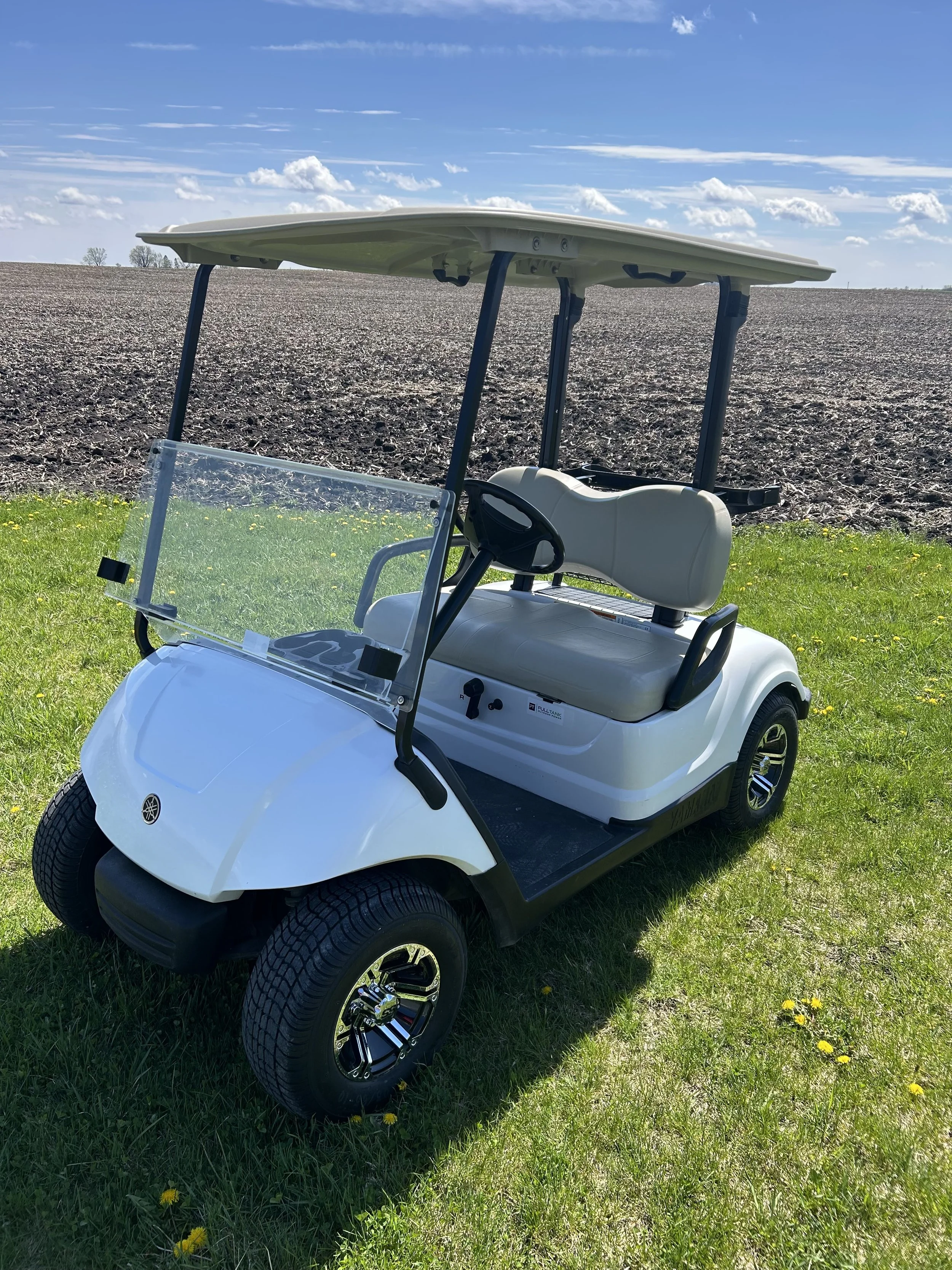 2015 Yamaha Drive Gas **SOLD**