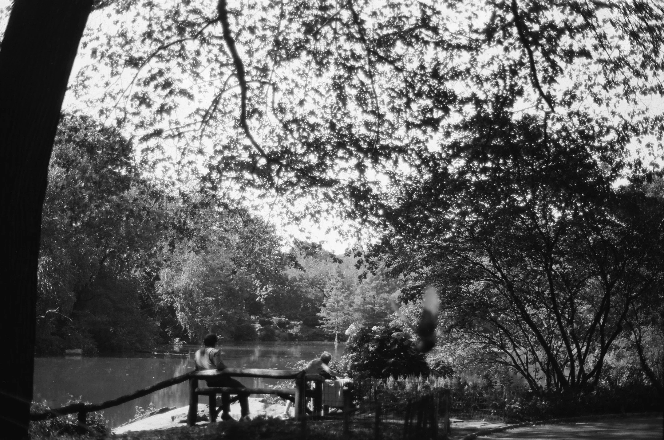 Ilford Ortho Plus | June 2025