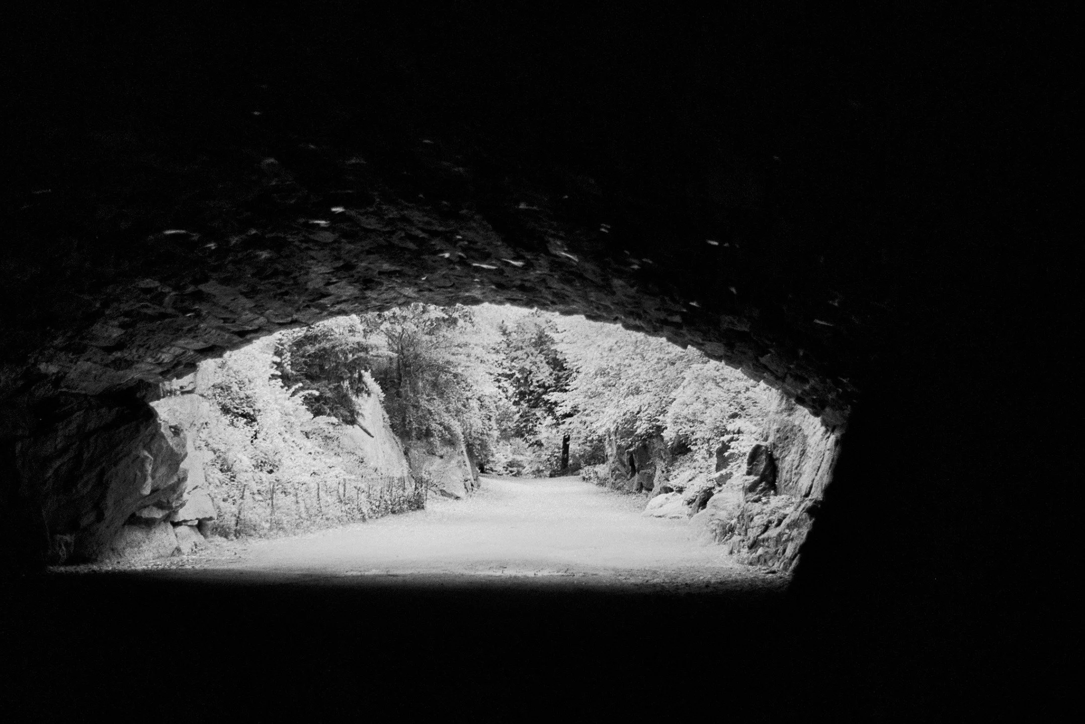 Ilford HP5 | June 2025