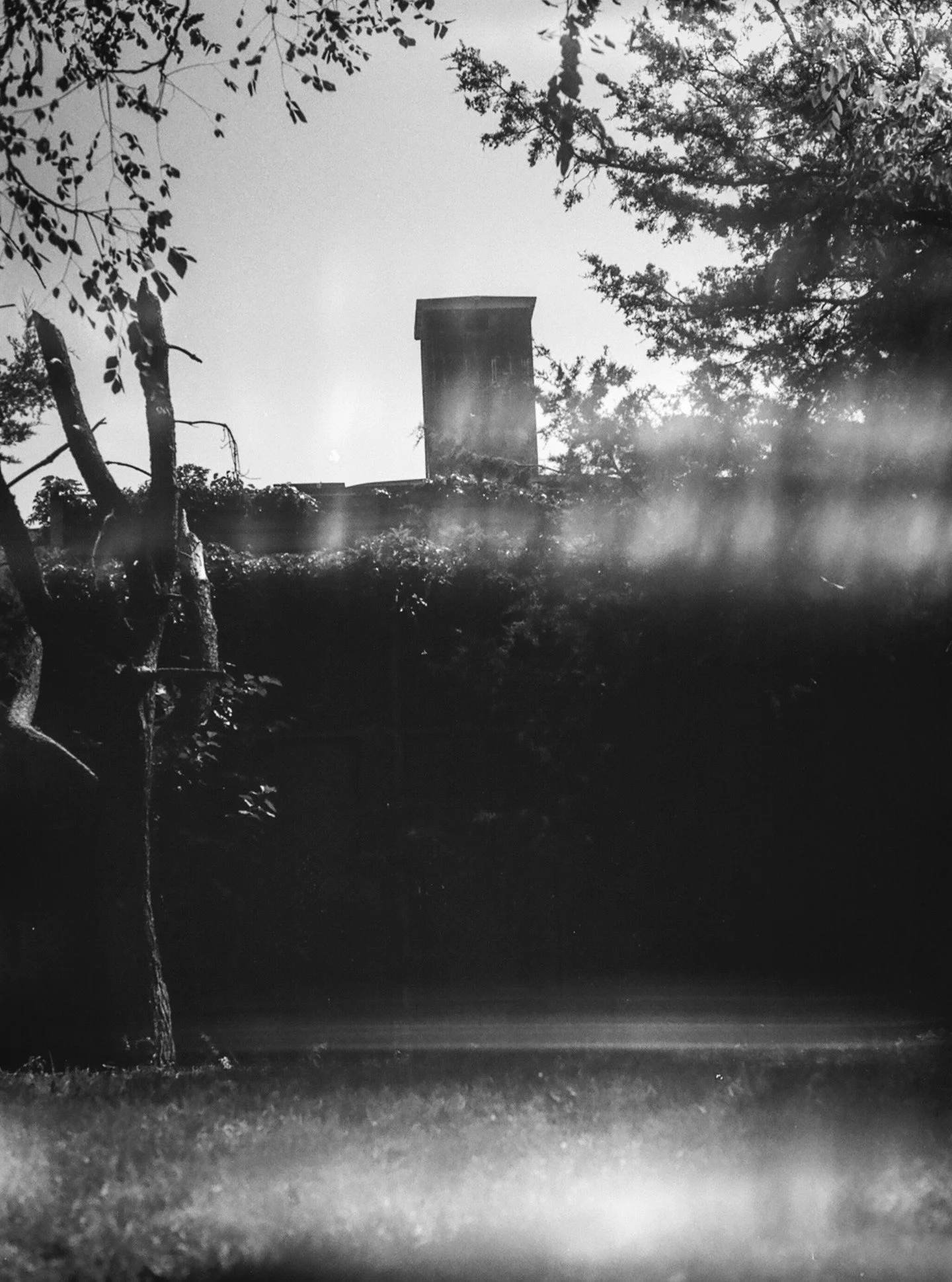 Smiley peers at ghost tracks

Ilford Panf Plus | August 2025 | Nyc