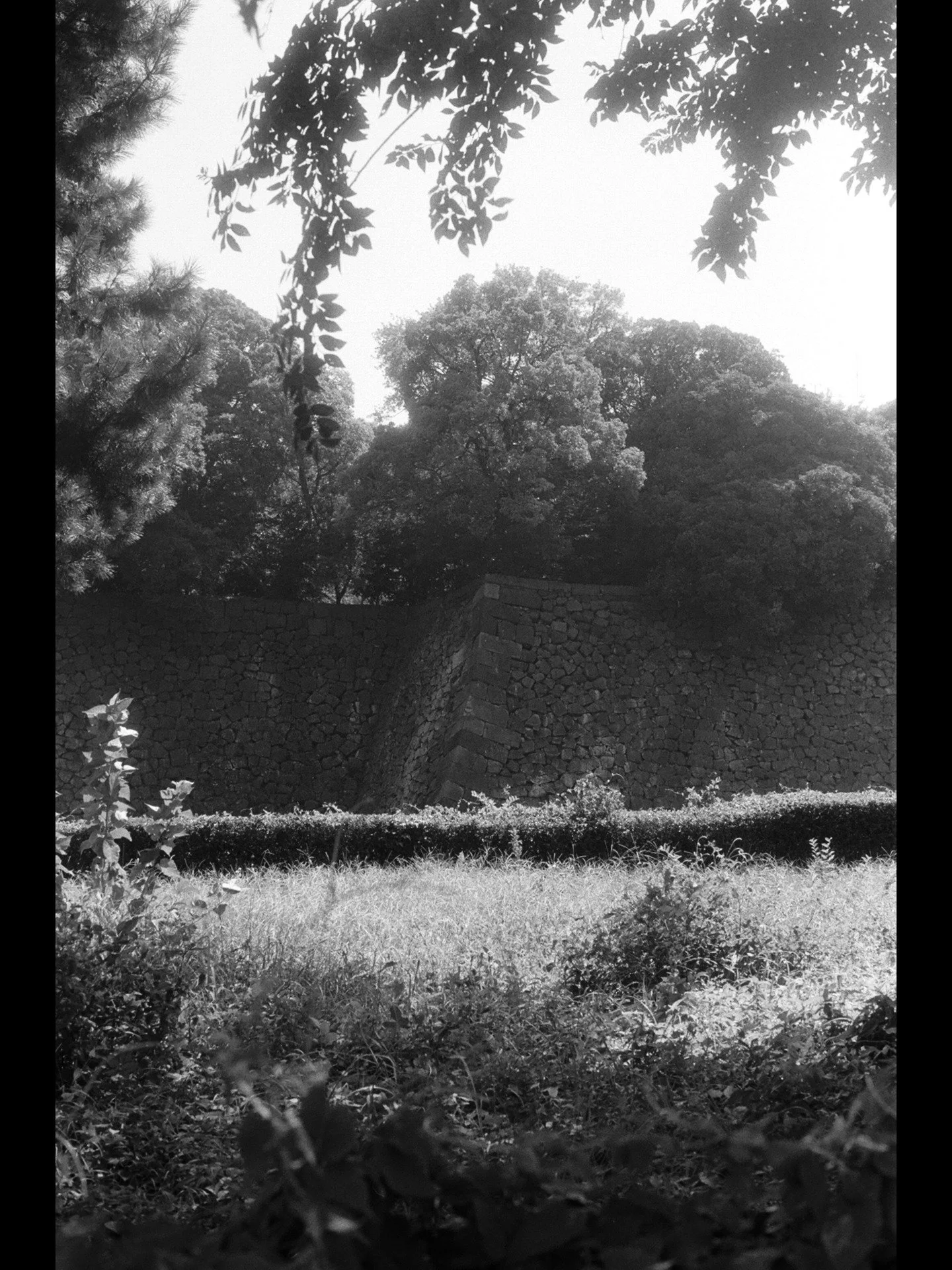 Kentmere 400 | September 2025 | Fukuoka, Japan