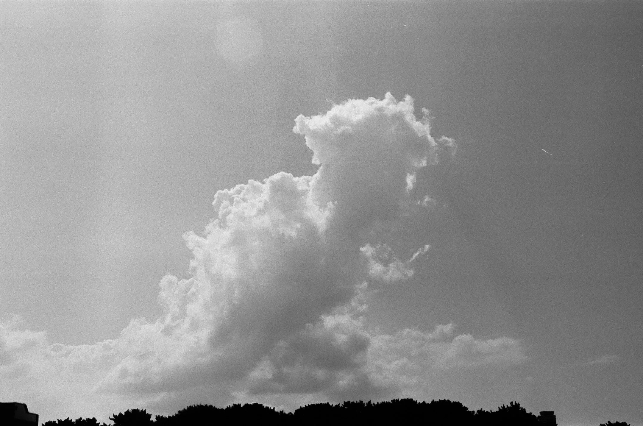 Good luck traveller

Kentmere 100 | September 2025 | Fukuoka, Japan

#☁️👀