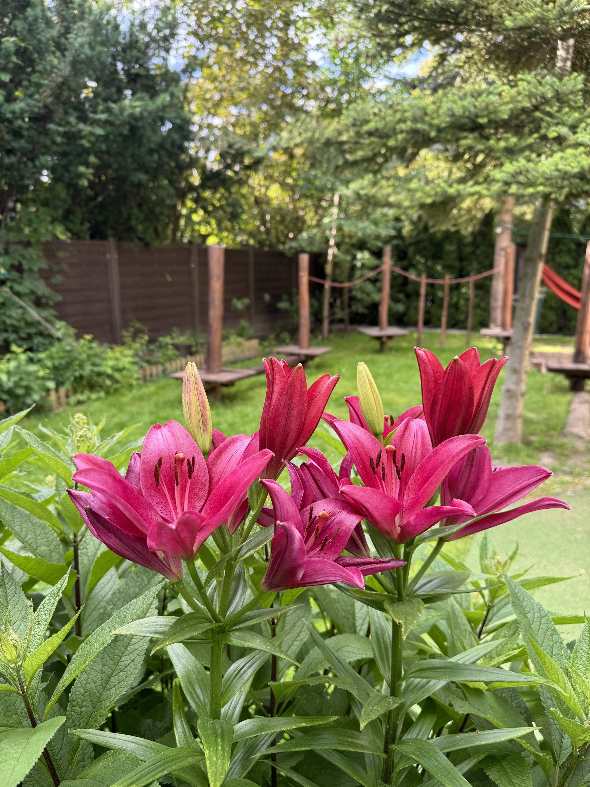 IMG_7518.jpeg