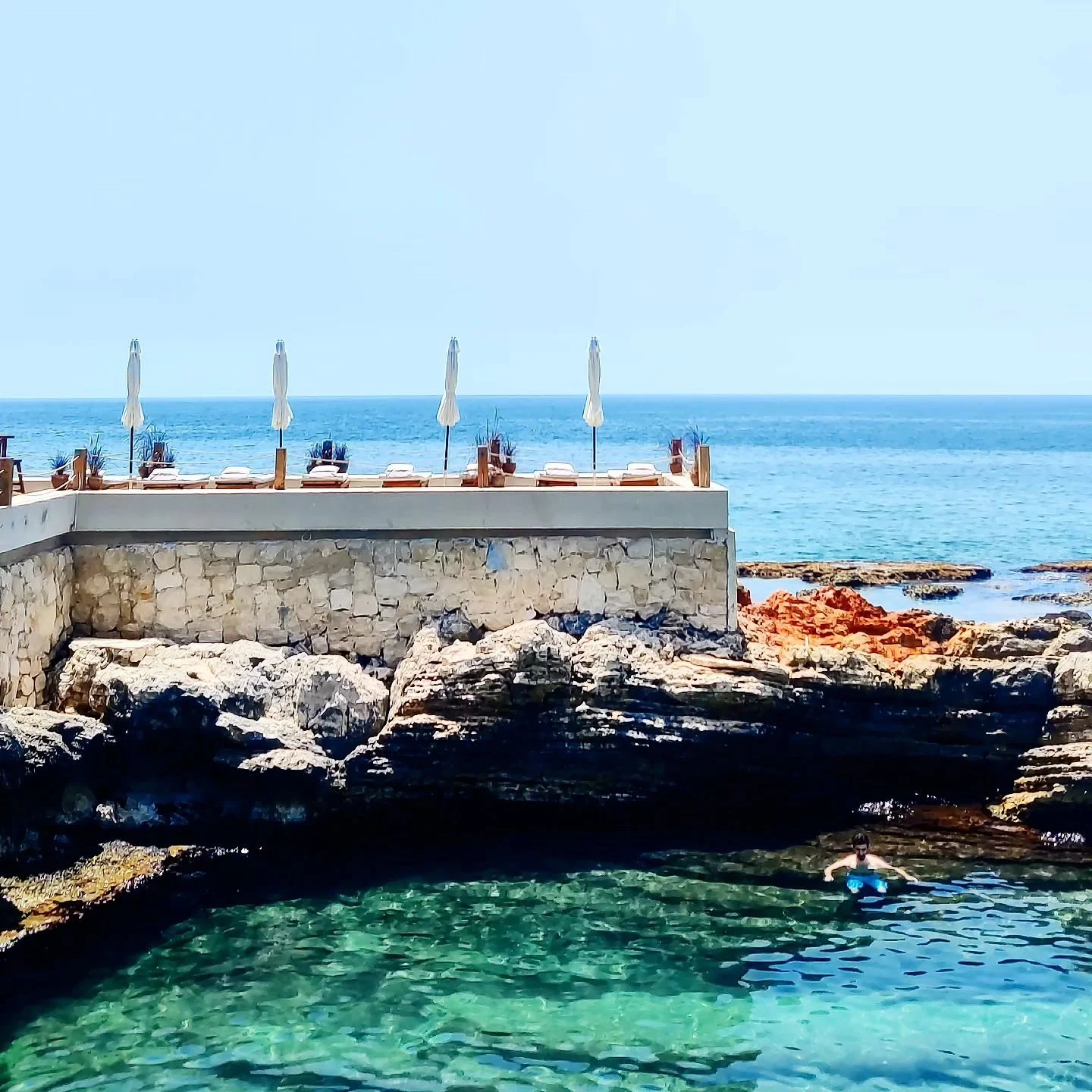 Wild Pool ✴️🌊