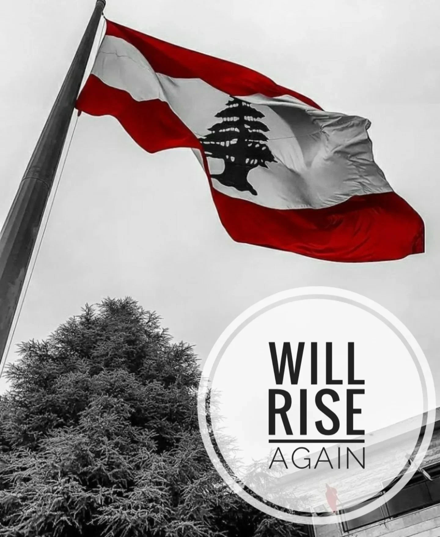 Happy Independence Day