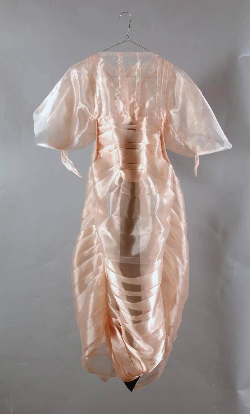  Hélène Picard 
 ROBE PAPILLON
 2007
 musslin, felt
 height: 140 cm