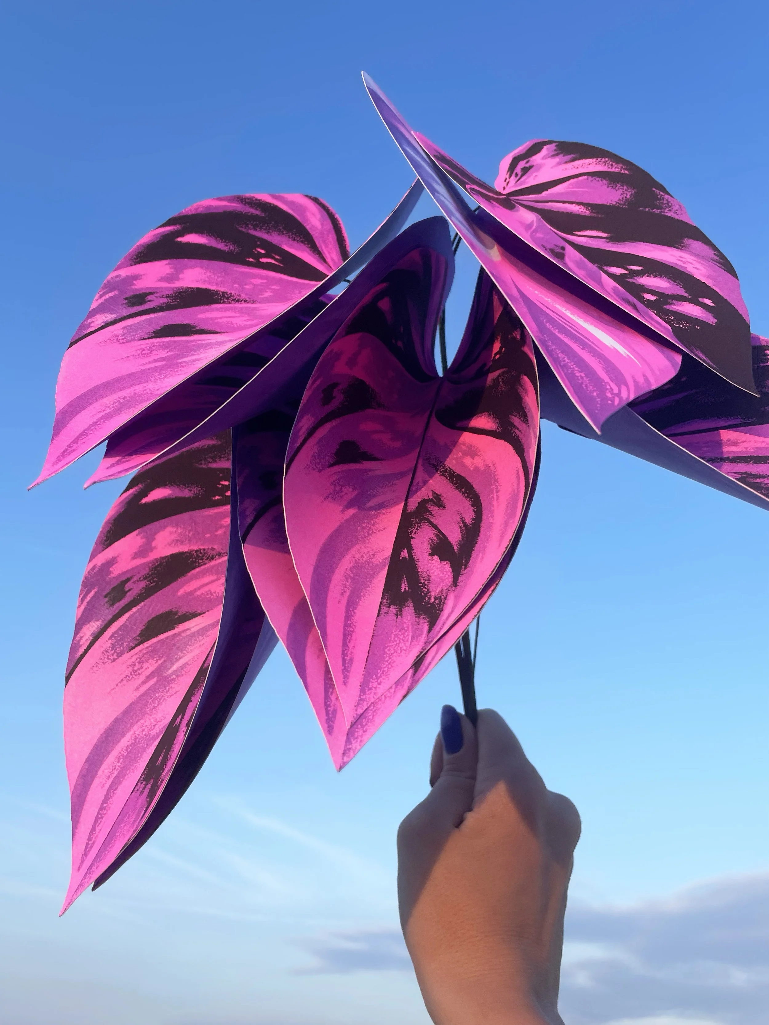 plants.jpg