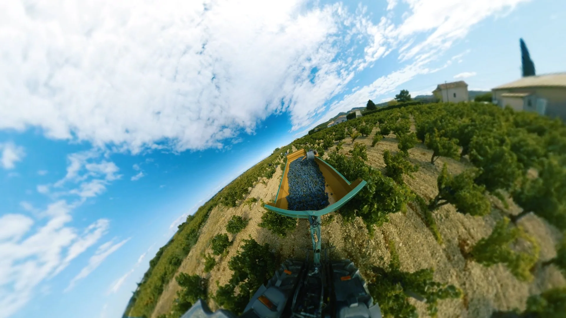 SAQ Virtual Reality