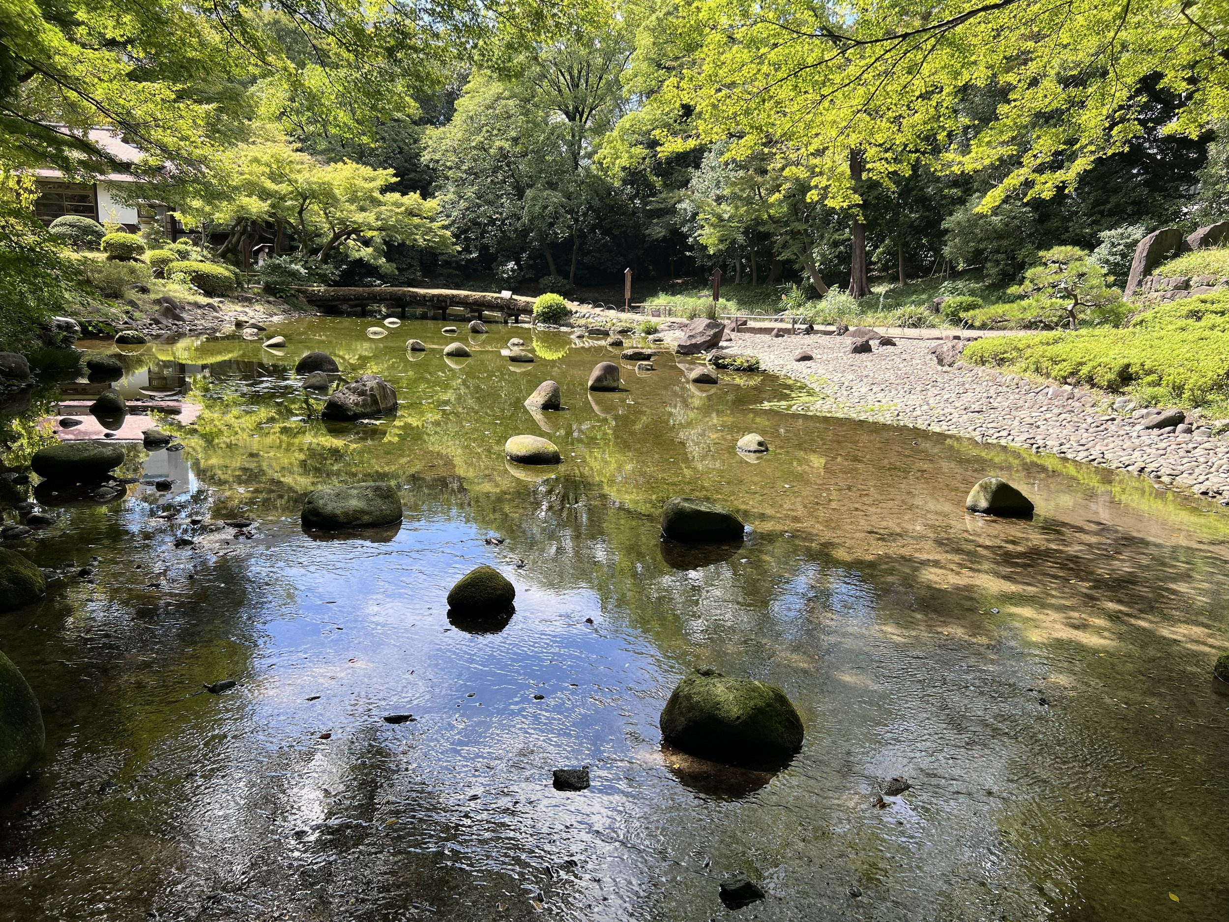IMG_6857.jpeg
