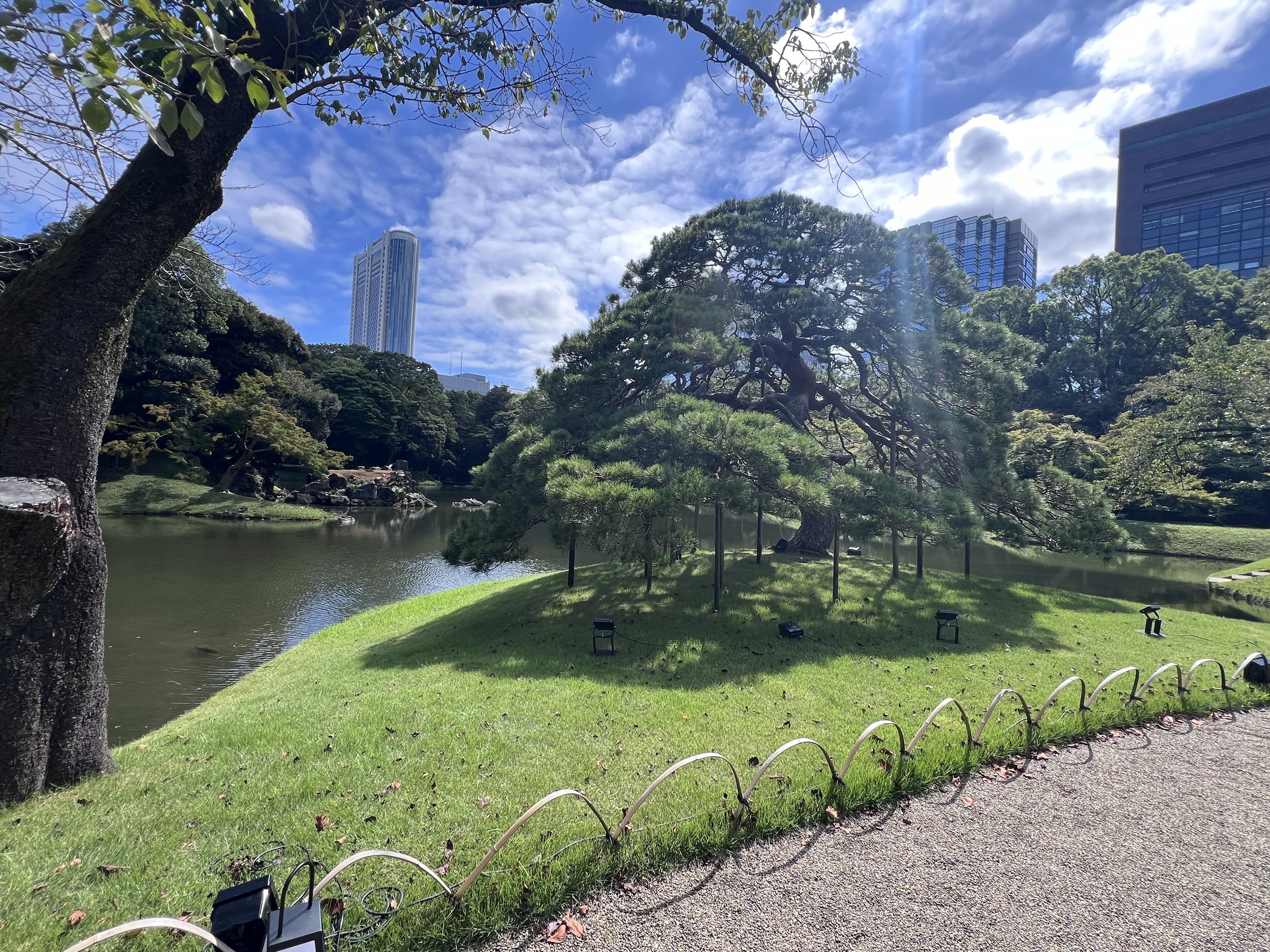 IMG_6864.jpeg