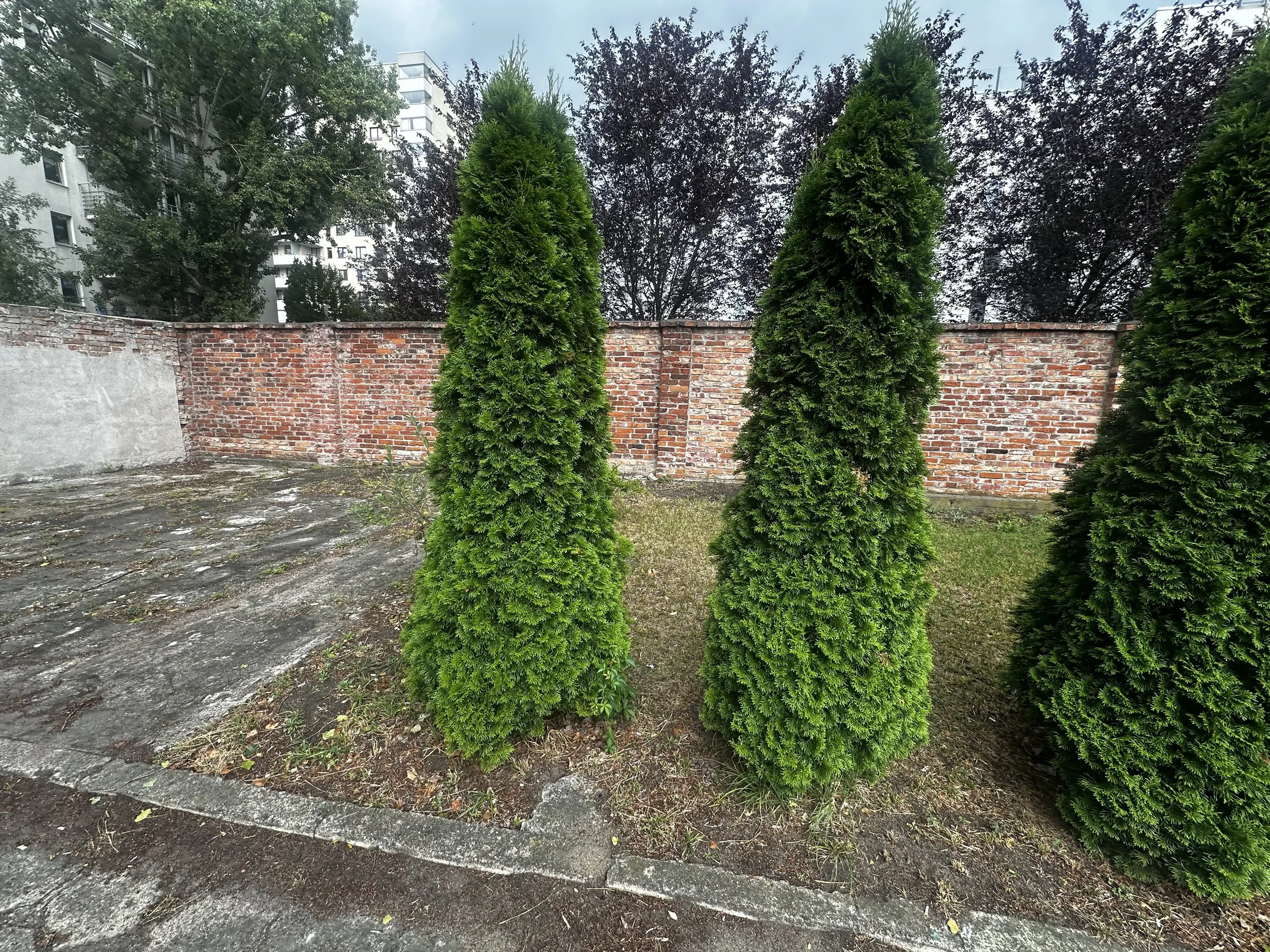 IMG_1954.jpeg