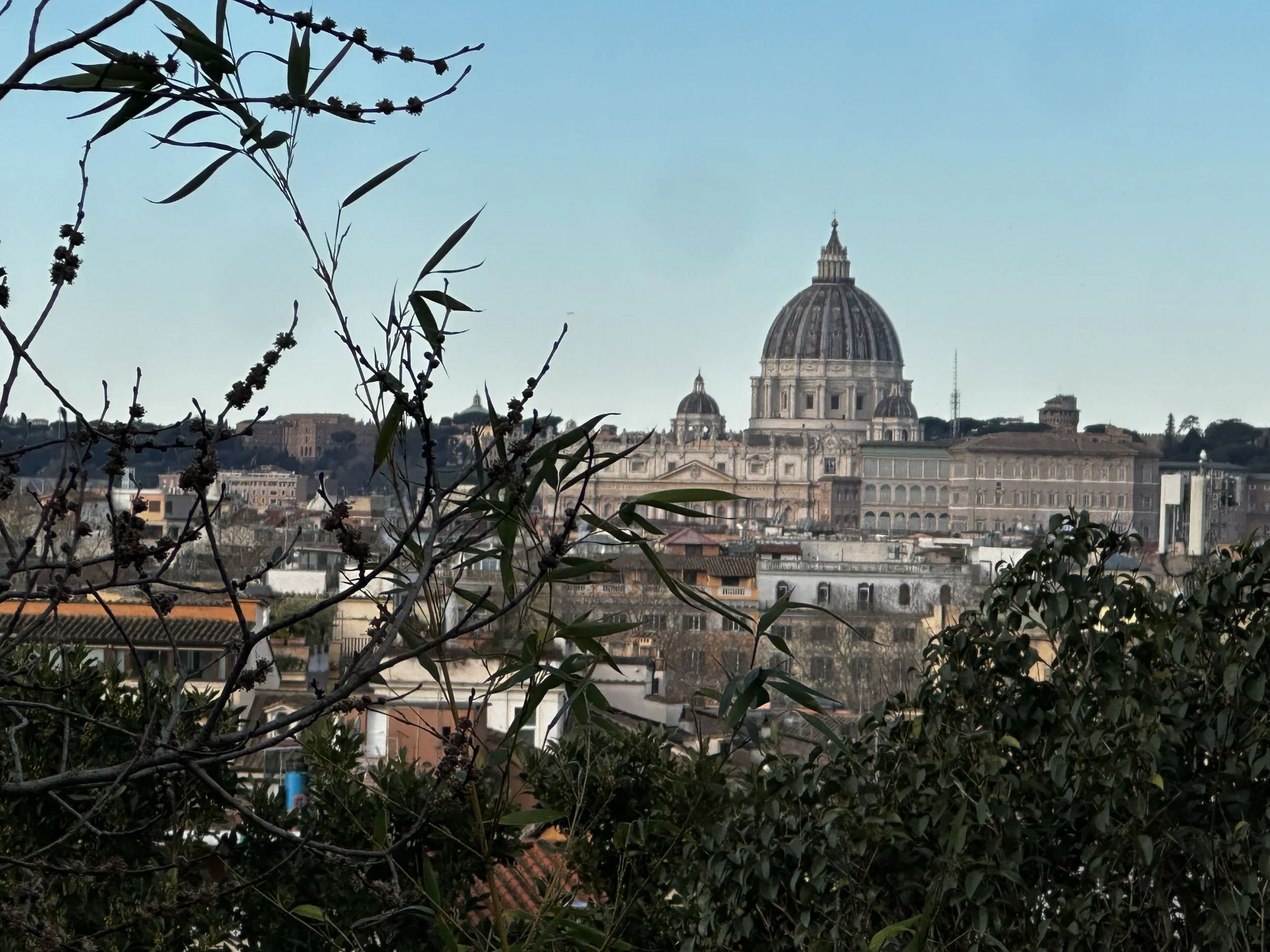 IMG_4492.jpeg