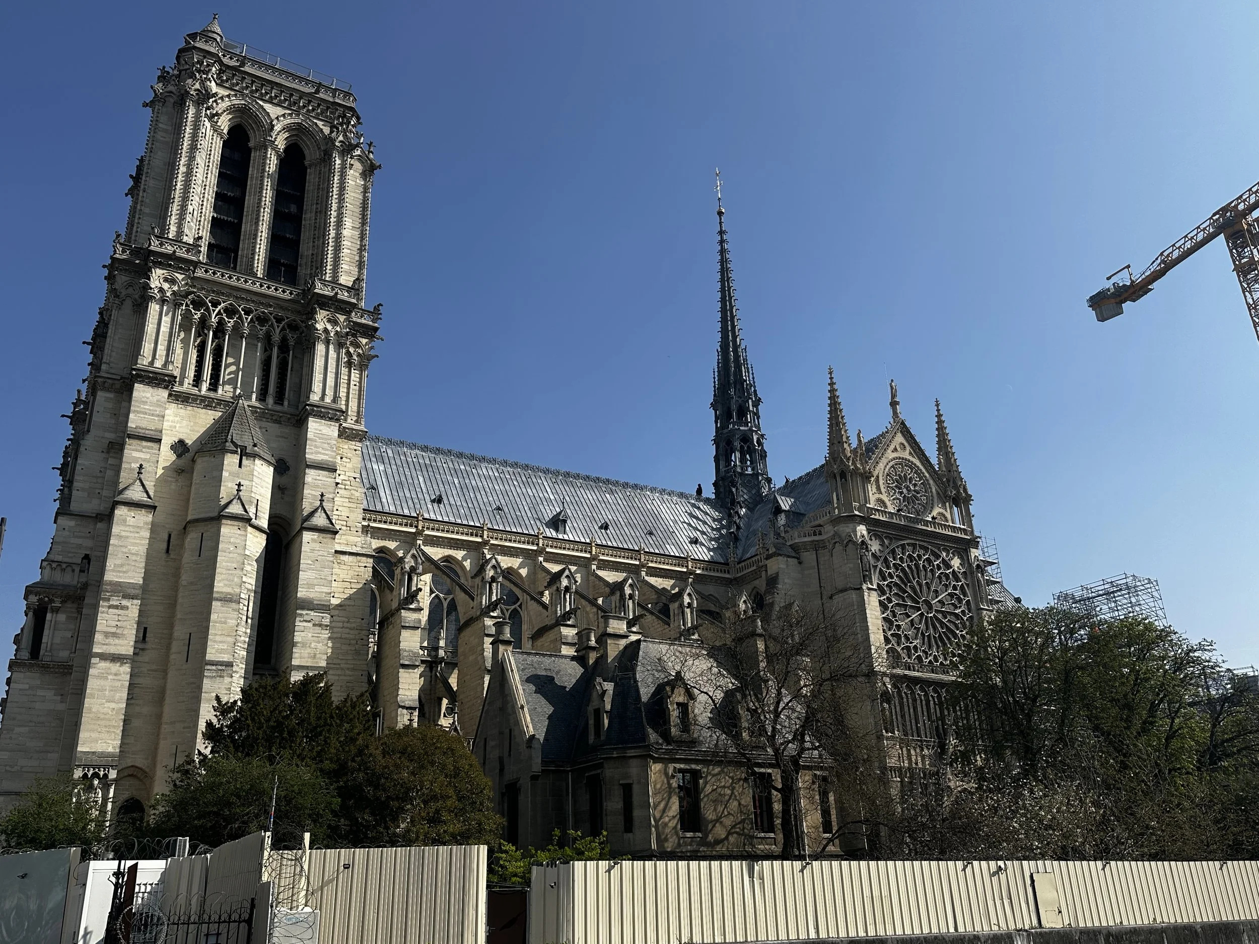 IMG_4910.jpeg