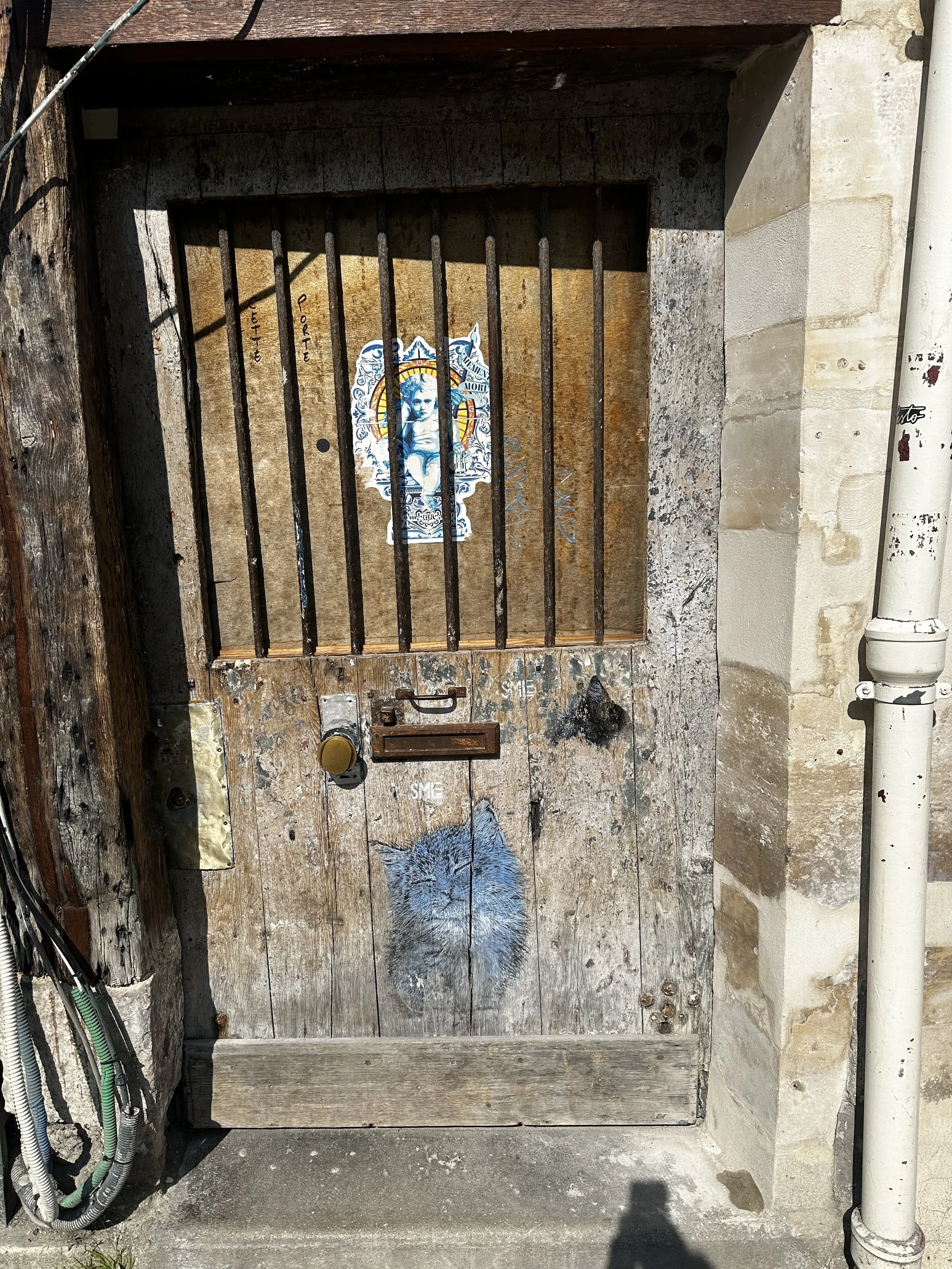 IMG_4915.jpeg