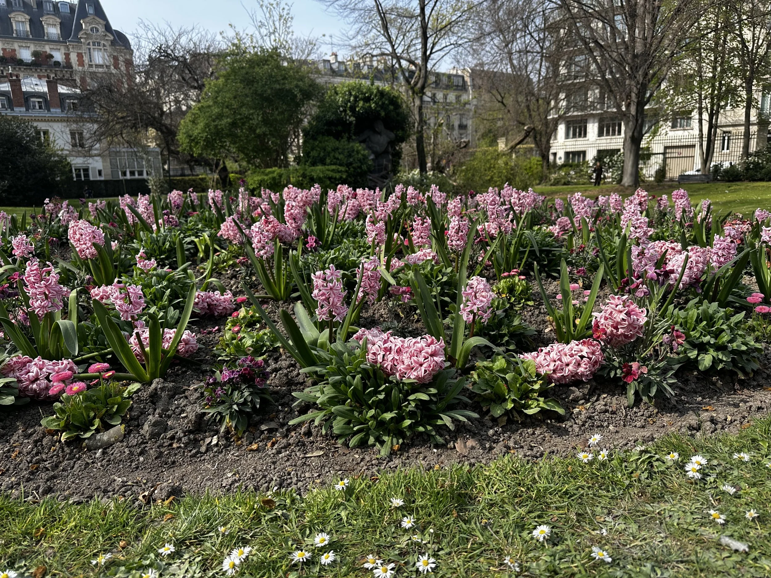 IMG_4936.jpeg