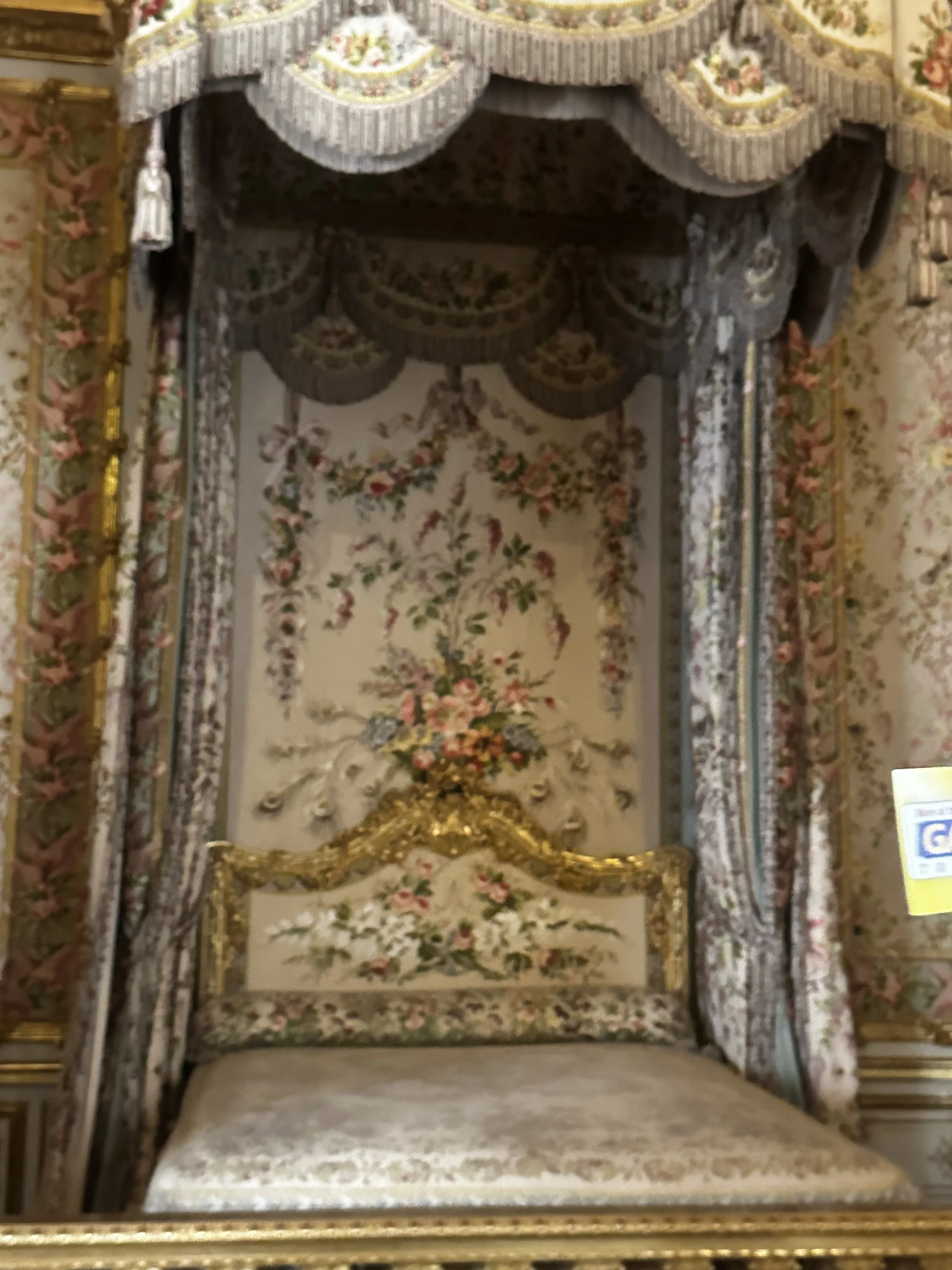 IMG_4980.jpeg
