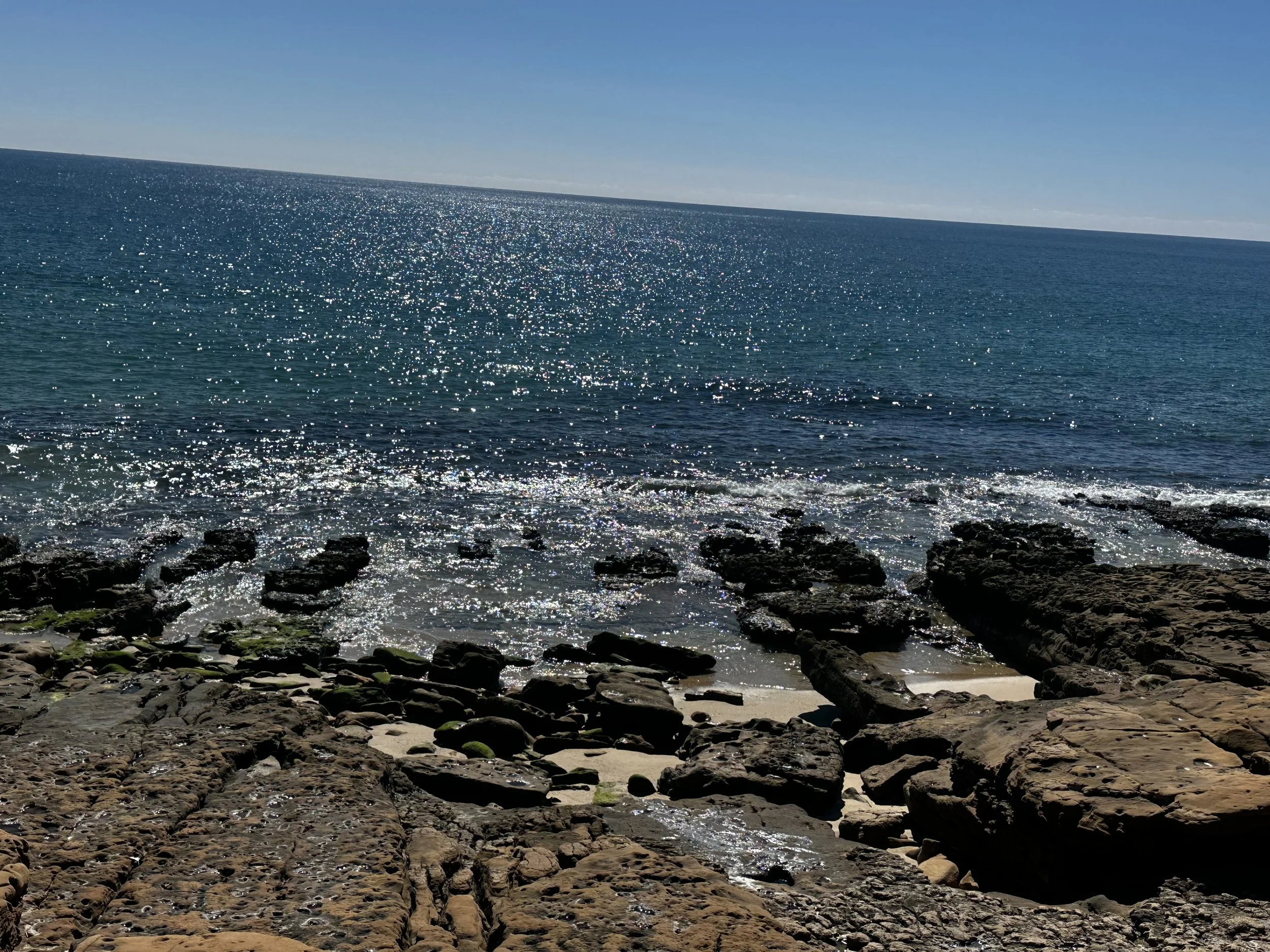 IMG_4846.jpeg