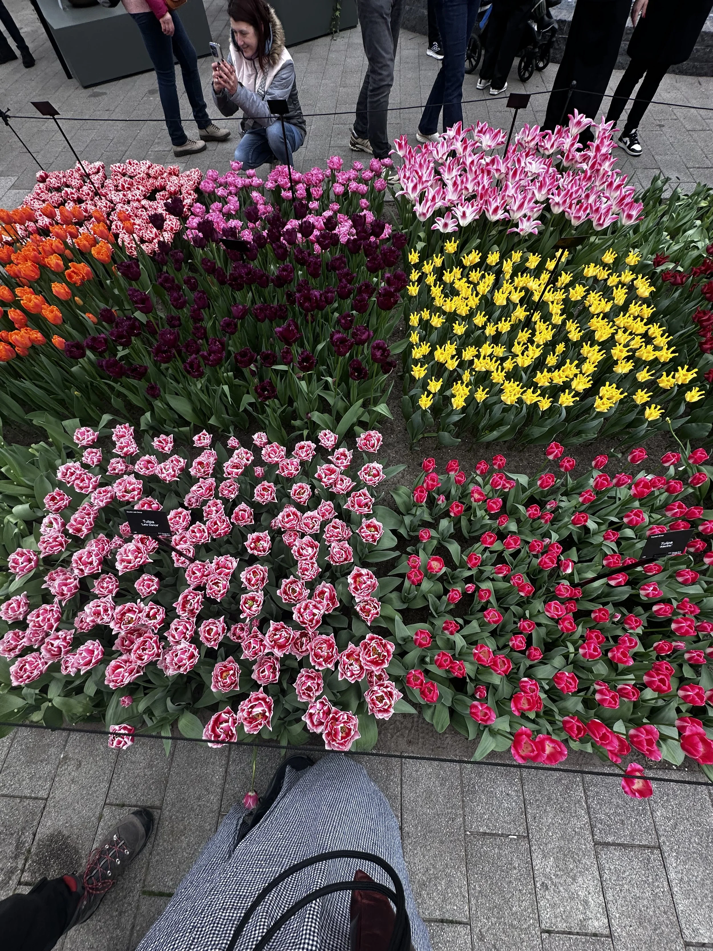 IMG_5117.jpeg