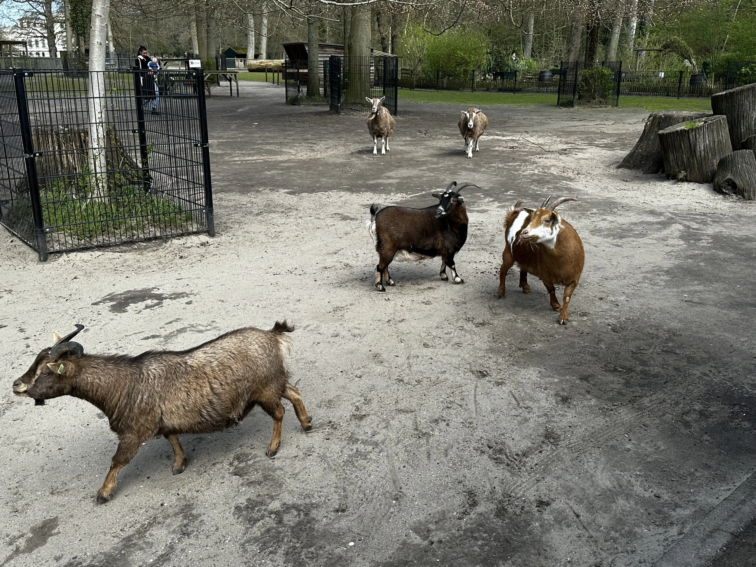 IMG_5183.jpeg