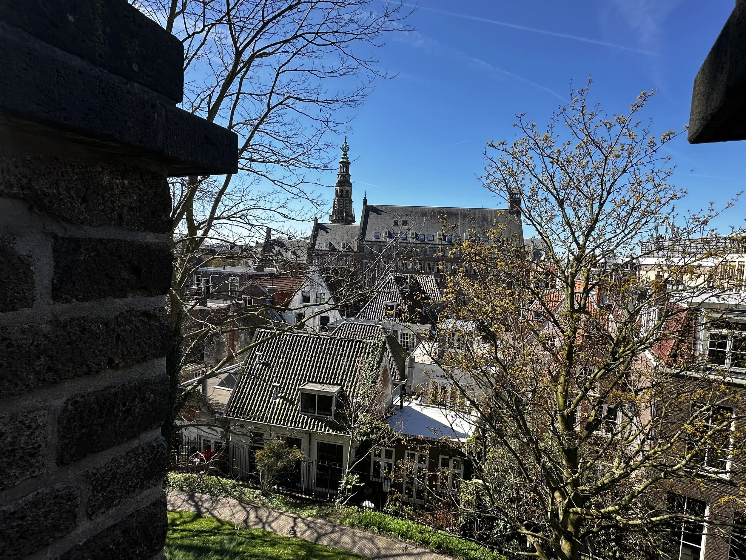 IMG_5216.jpeg