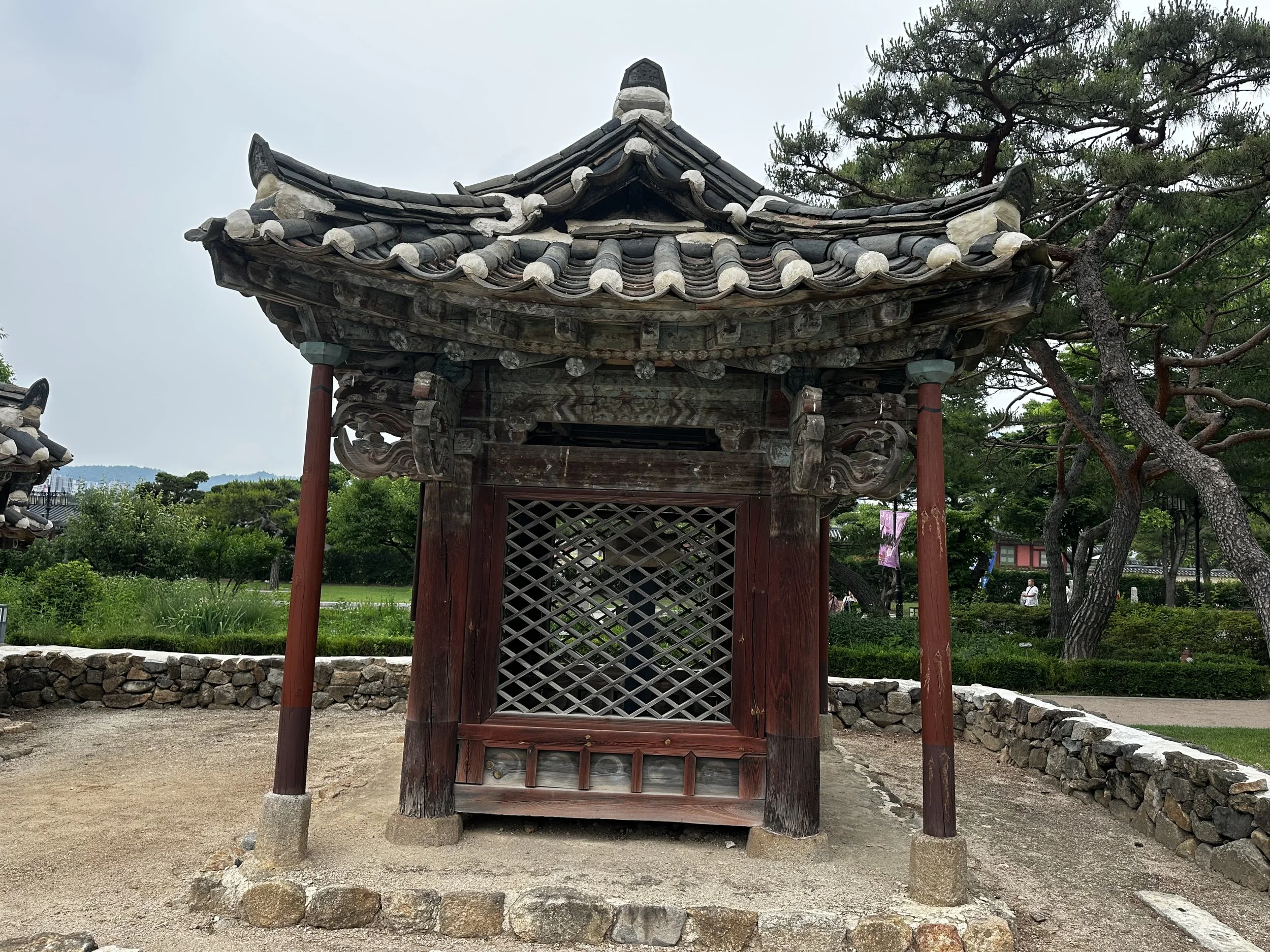 IMG_5803.jpeg