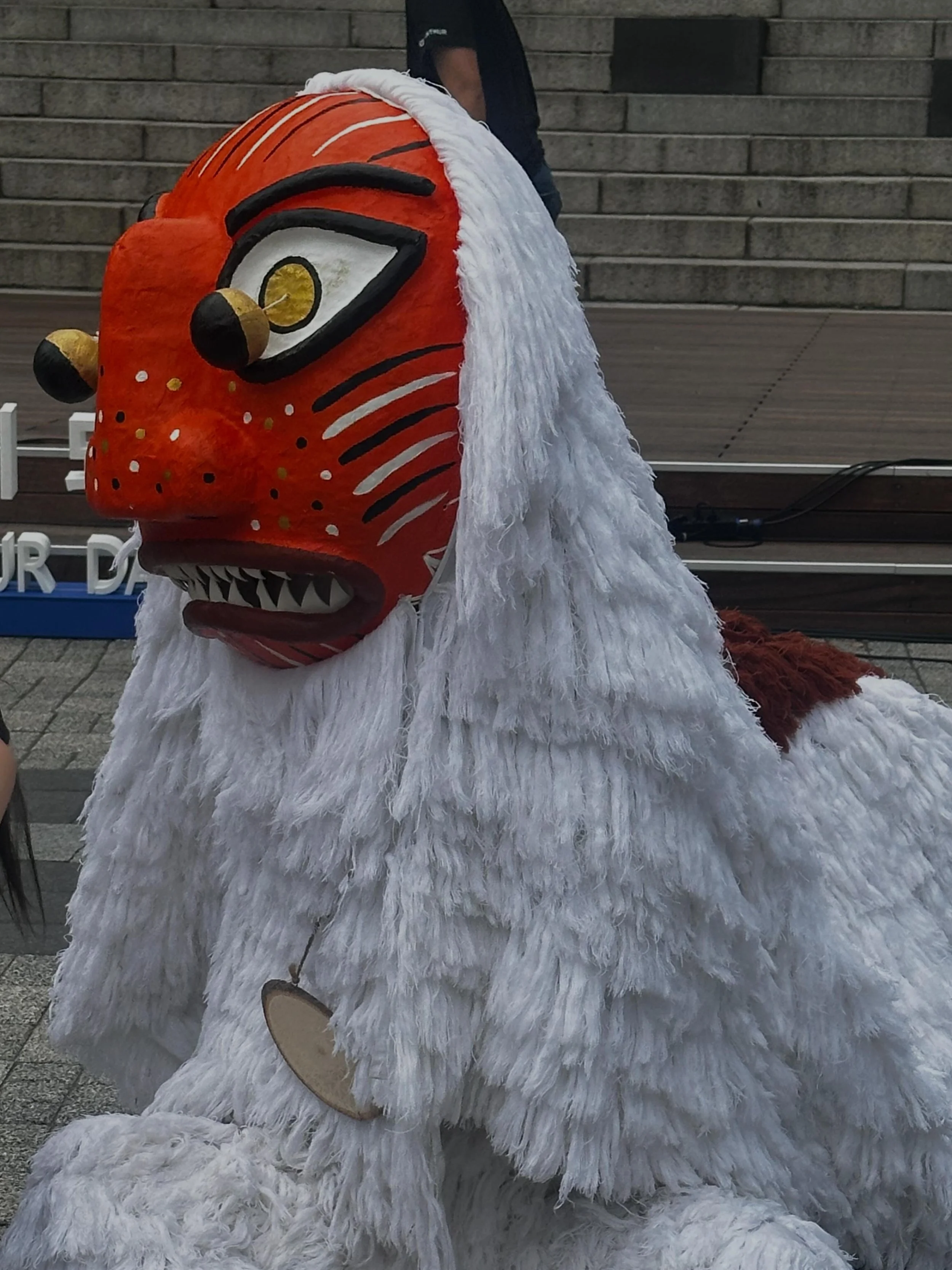 2579F404-B7C2-4D25-93AC-585D32C873A3.jpeg