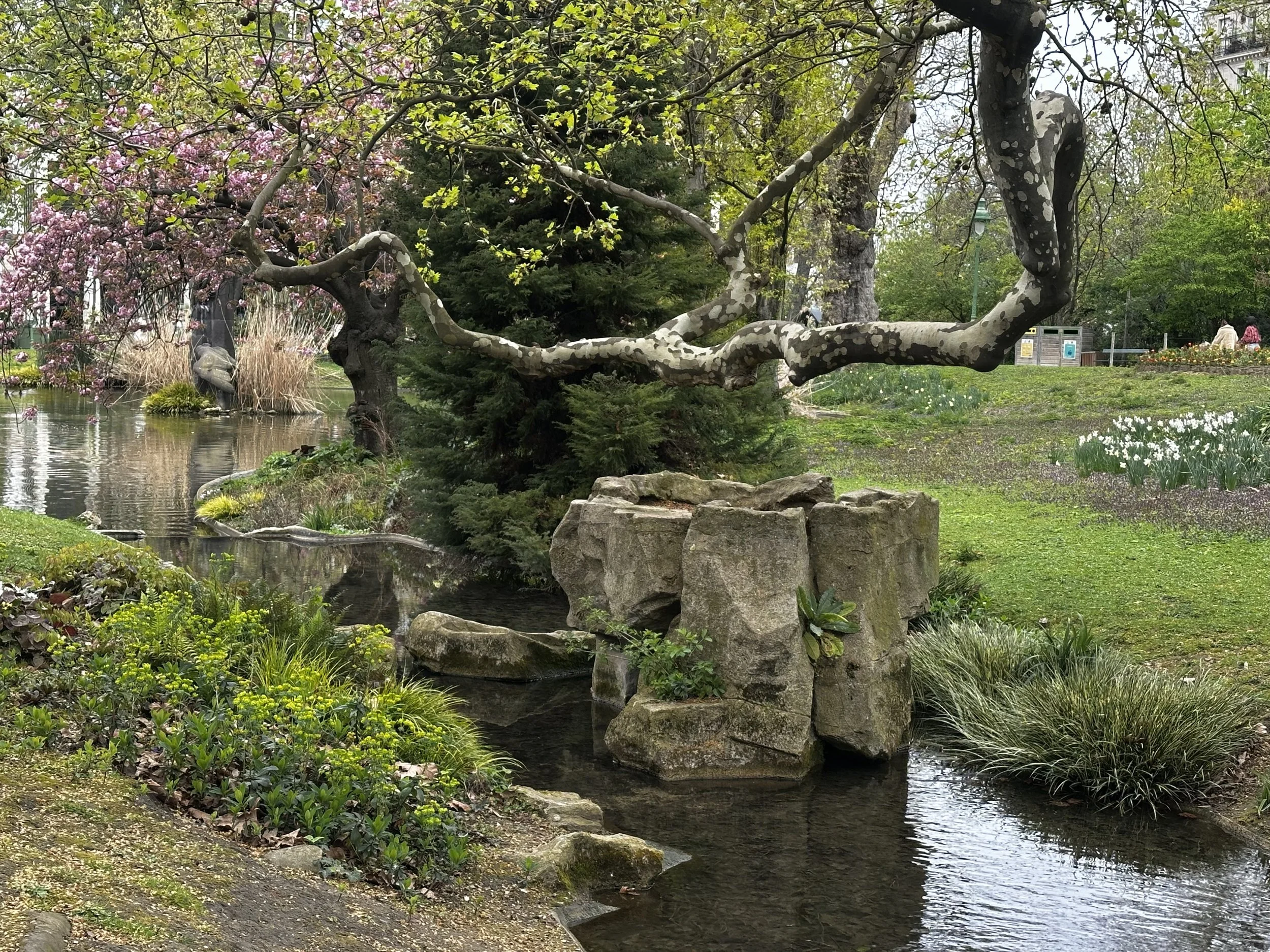 Paris in the spring
