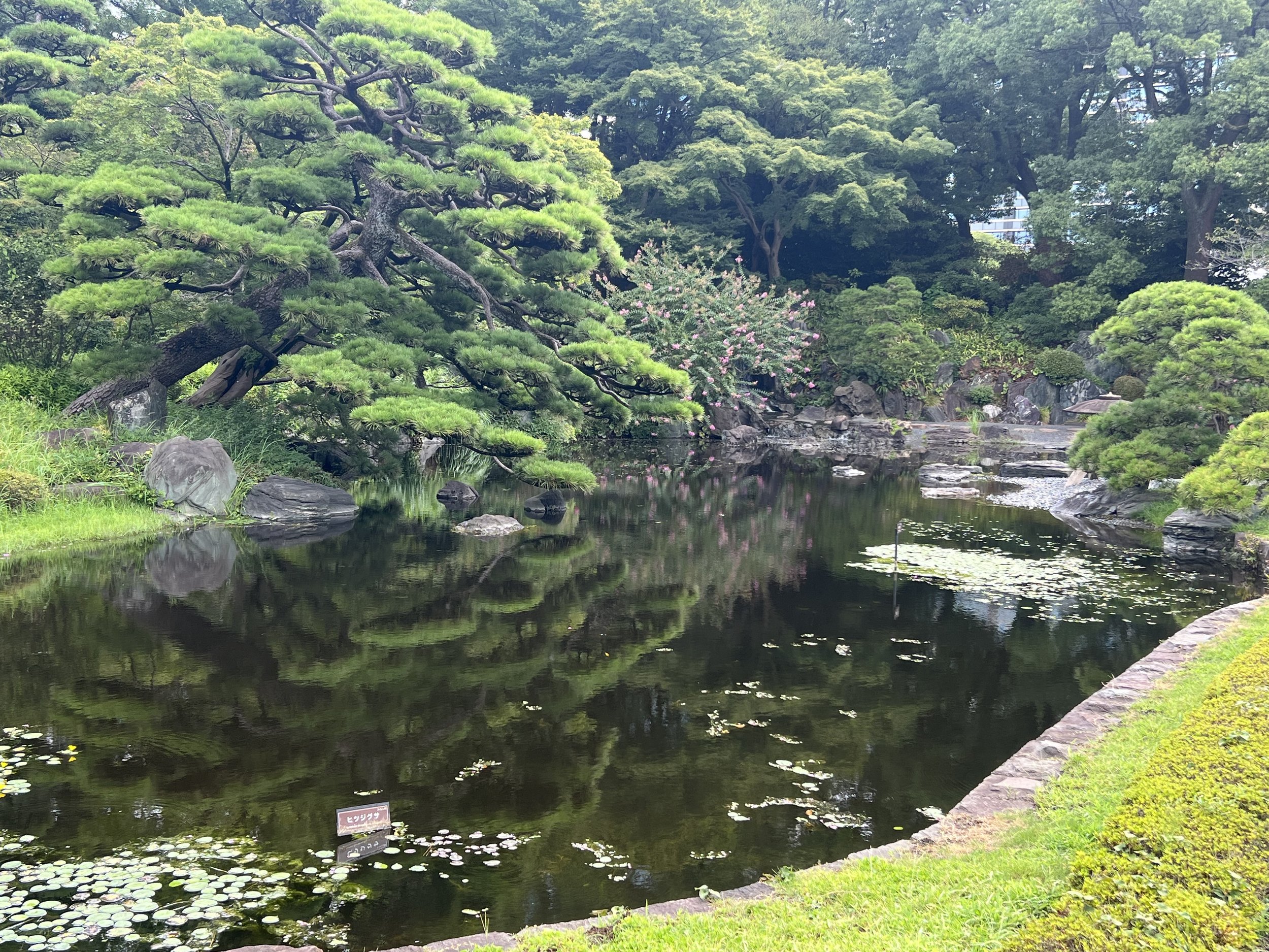 Tokyo Imperial Gardens
