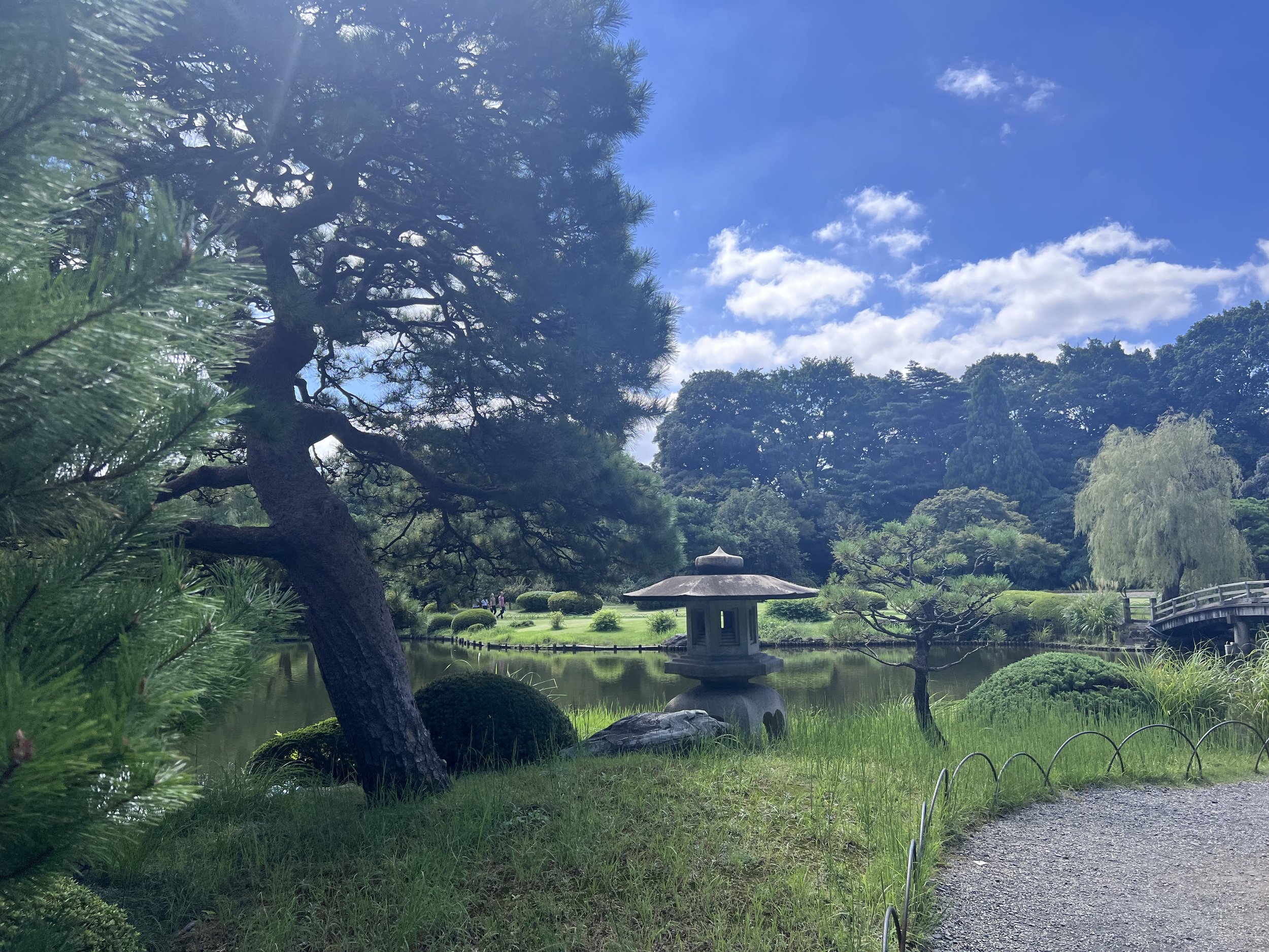 Shinjuku Gyoen National Garden: A Peaceful Retreat in Tokyo