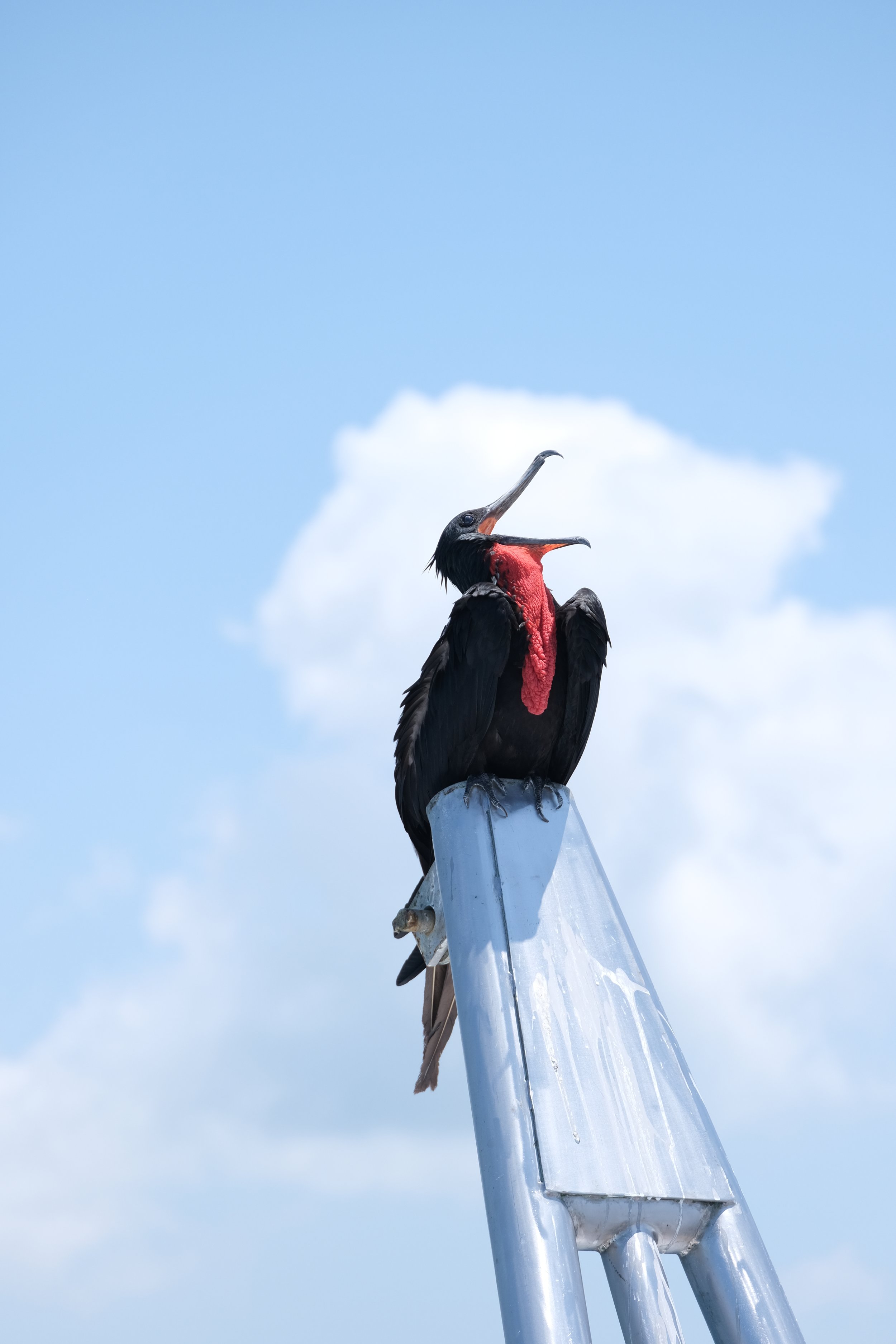 DSCF0795.JPG