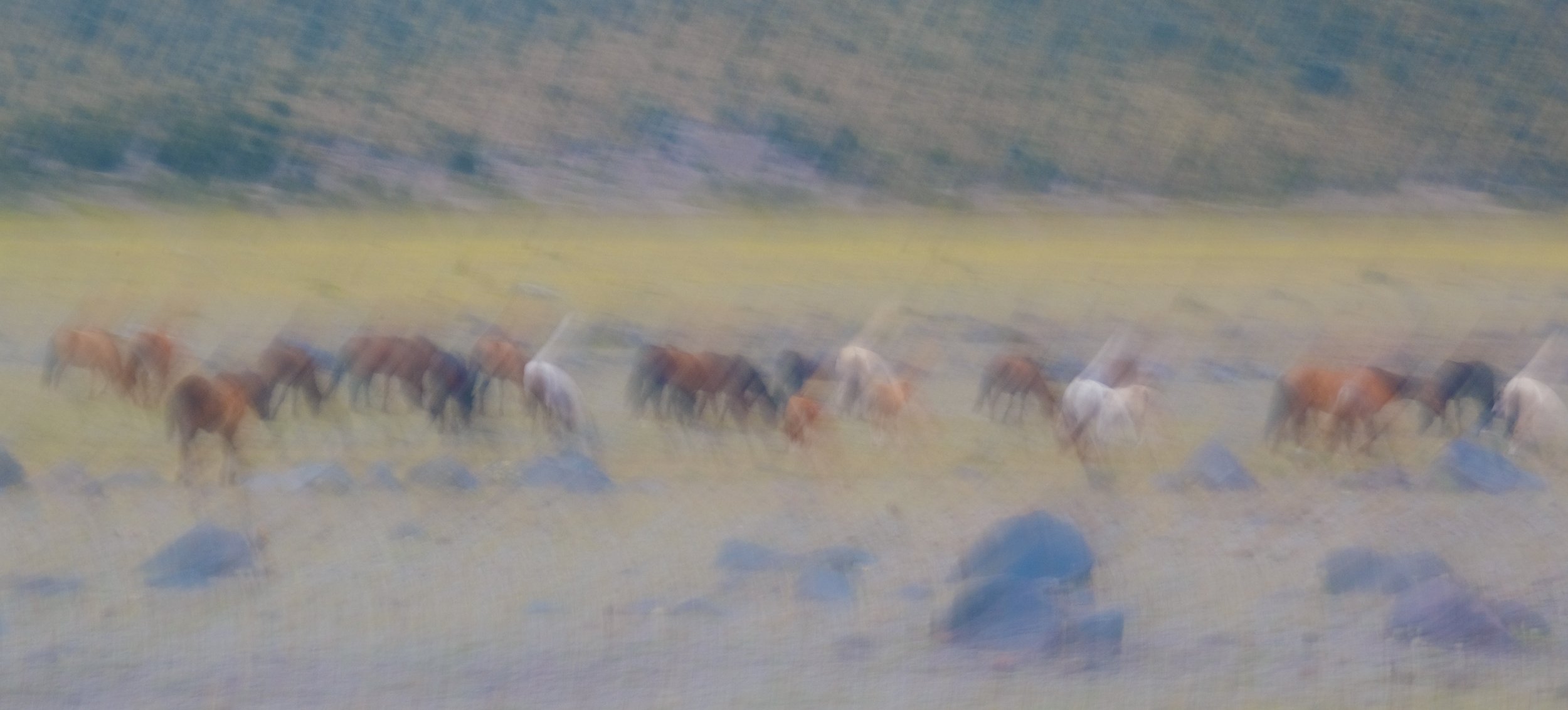 DSCF2487.JPG