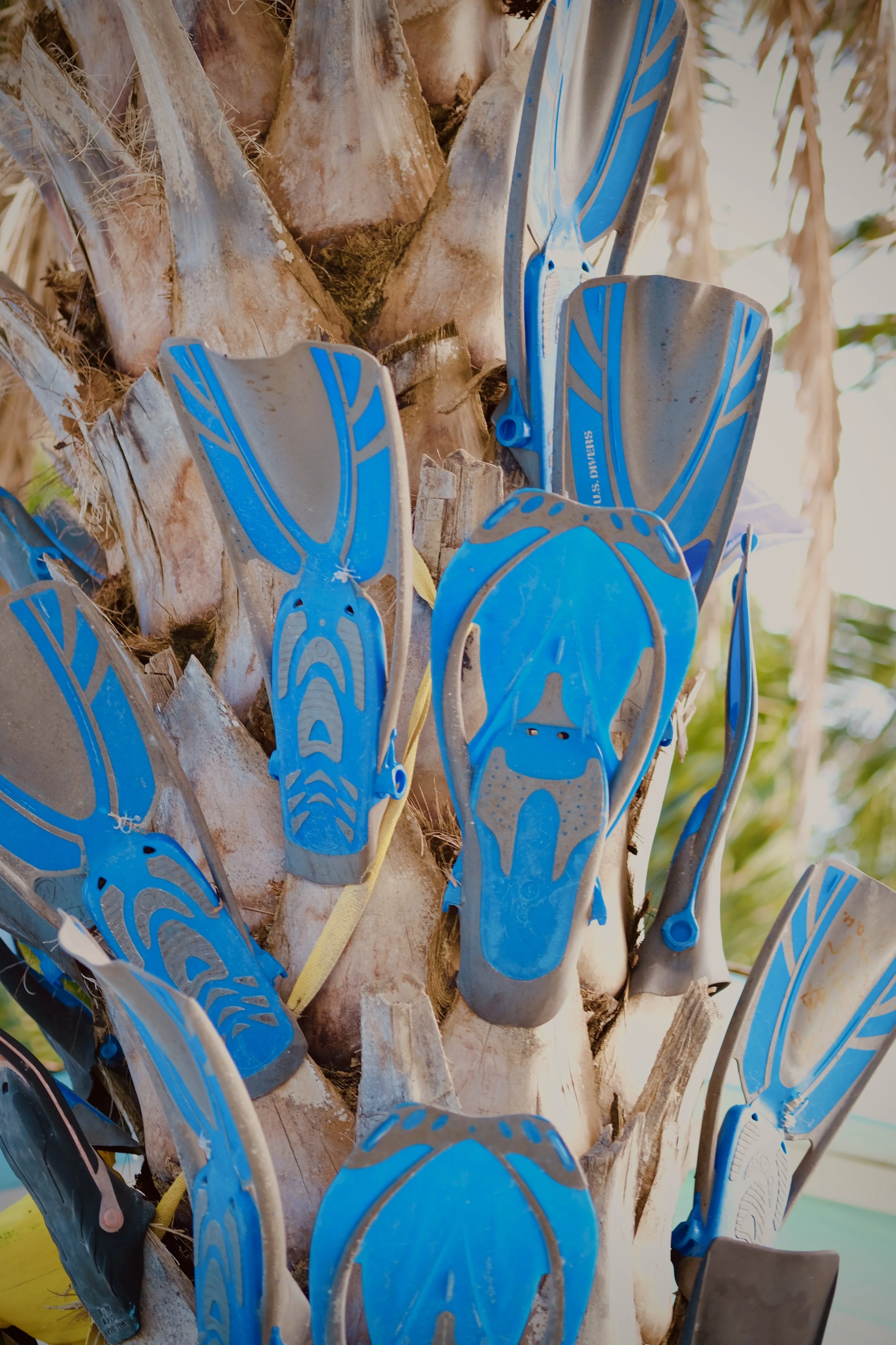 Colorful plastic shovels and gardening tools embedded on a tree trunk.