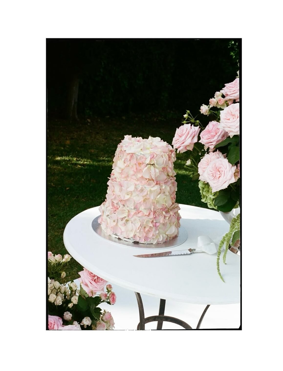 Ella &amp; Henry ~ Shades of pink, a sax man, and a sweet summer ceremony inside an Orangerie. 

&mdash;&mdash;

photos @weddingsbybhs 
venue @kingsbrook_estate 
planning @bymontanabirt 
celebrant @marriedbydeanna
blooms @flowergirladelaide 
sax @sax