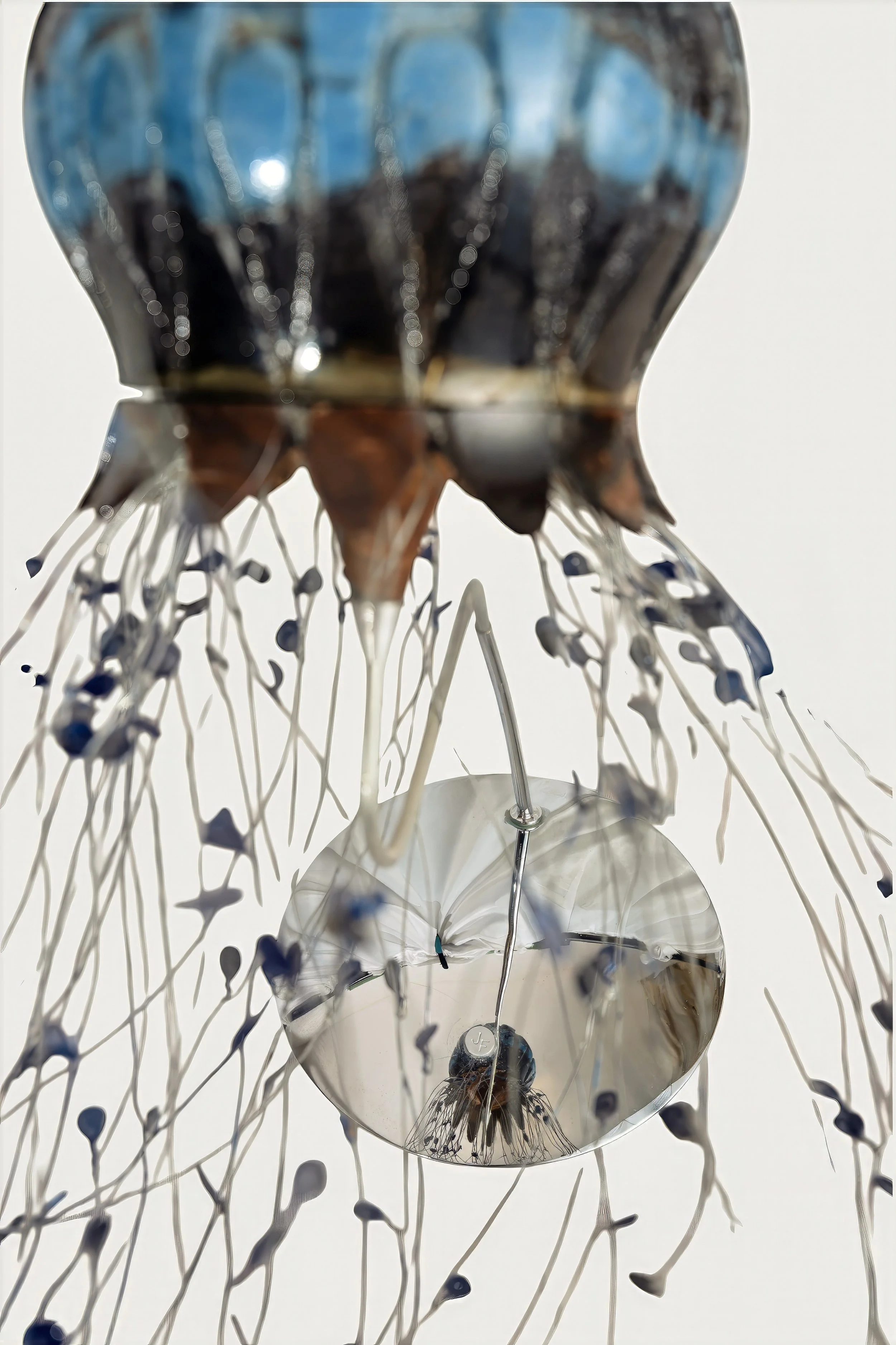 Juergen_Fuhr-Floating-Jellyfish-top-view-2019 - Juergen Fuhr.jpg