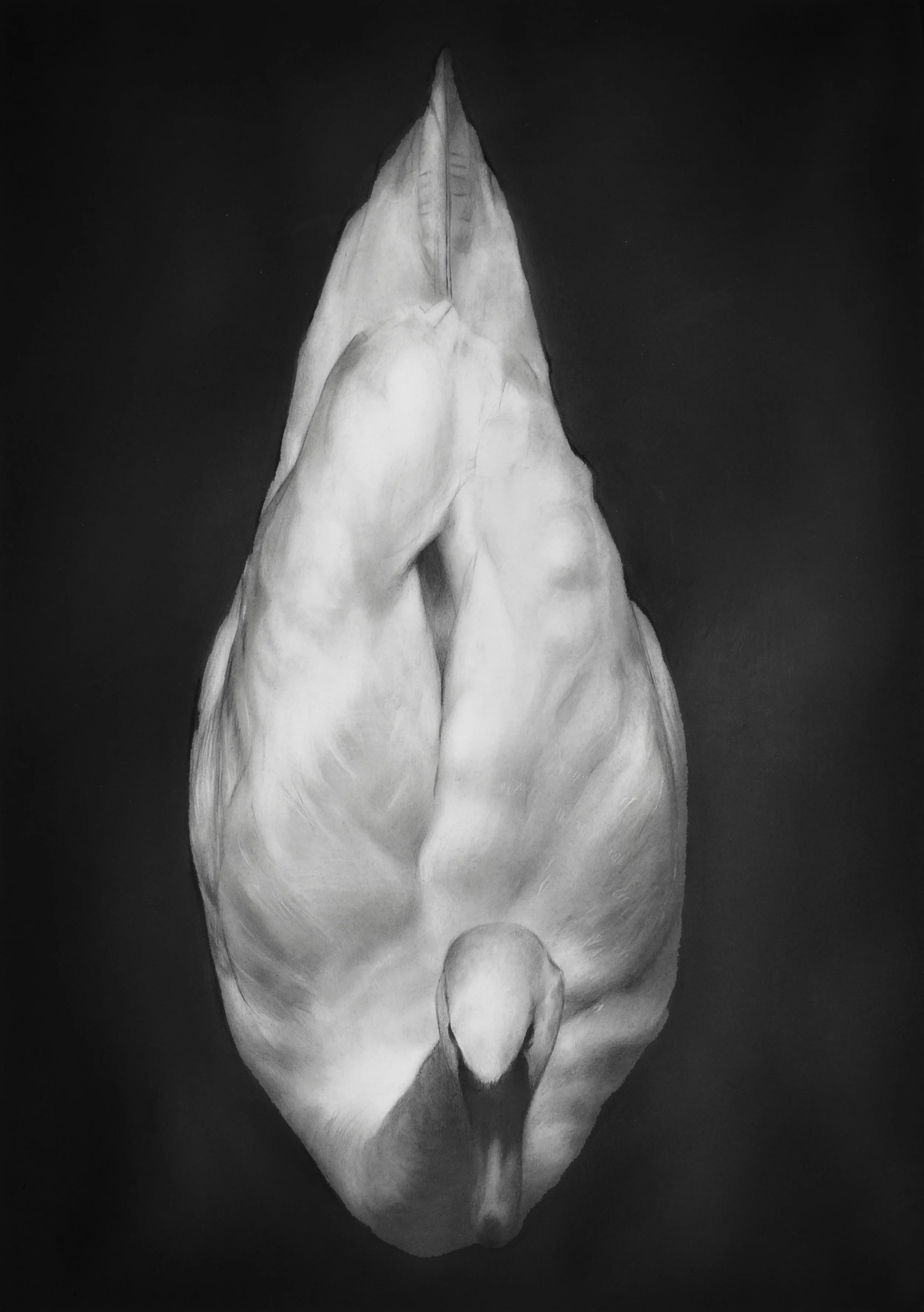 Silence by Rosanna Gaddoni