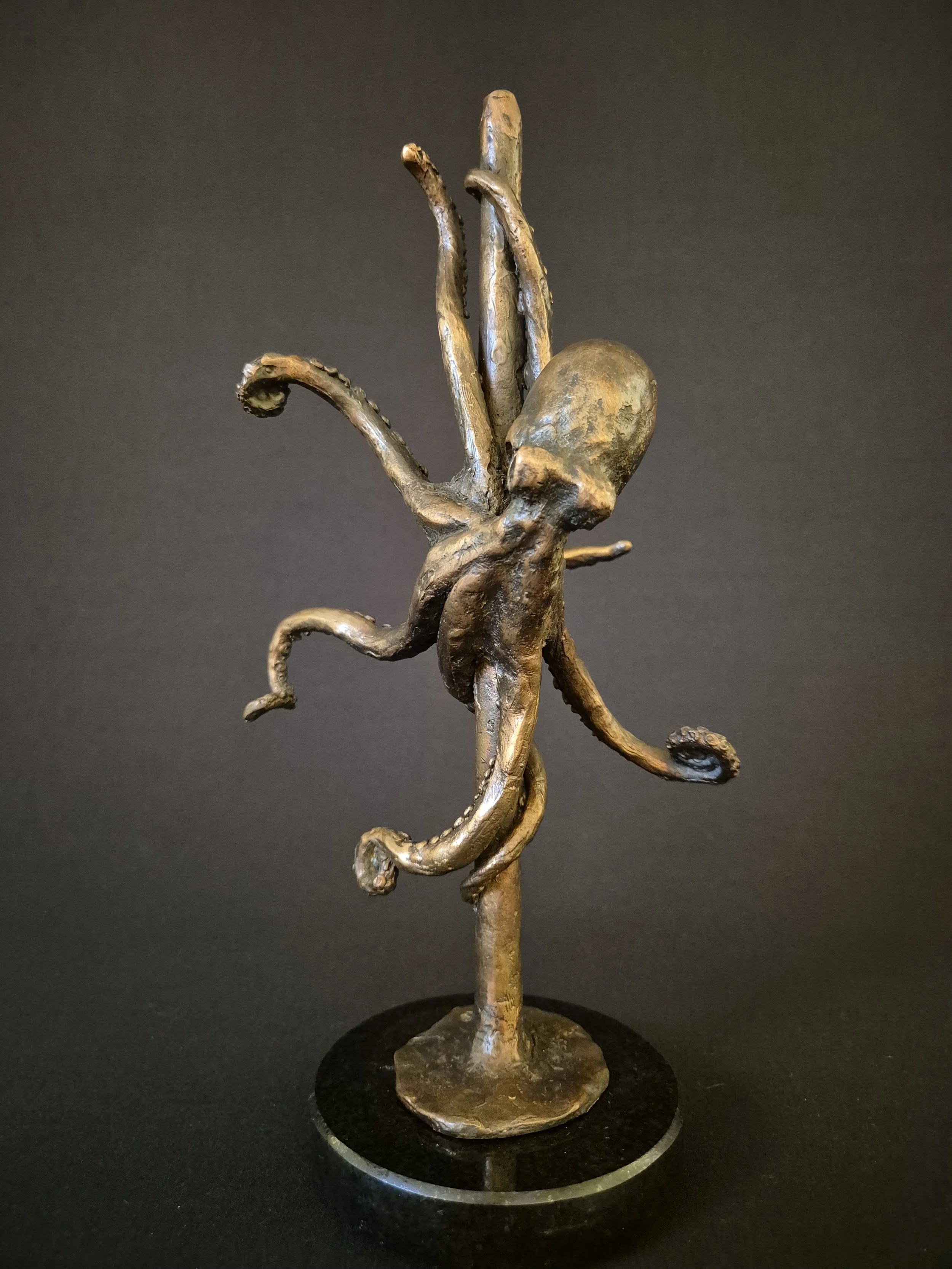 Polpopoledance.jpg