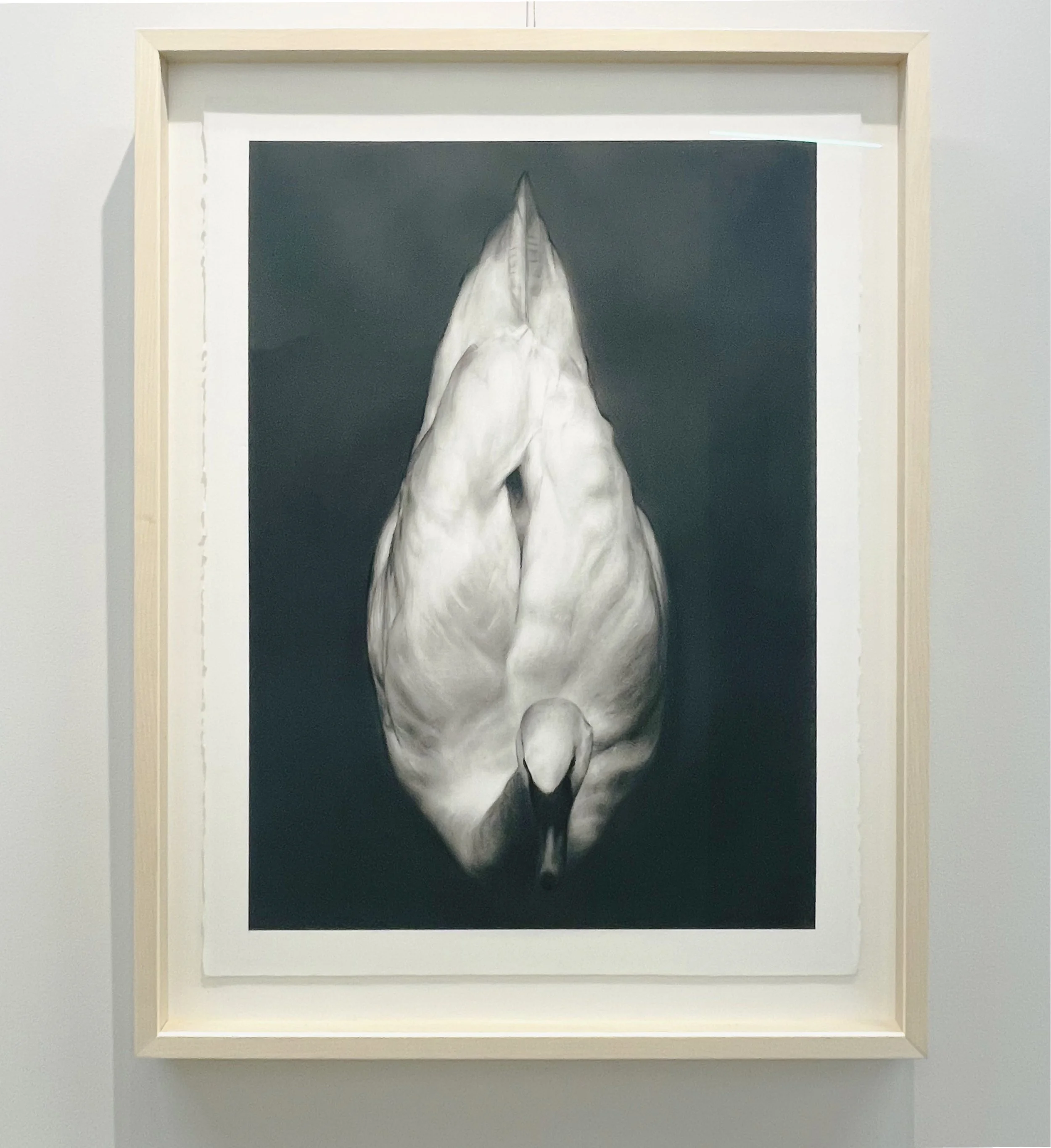 Silence_framed - Rosanna Gaddoni.jpg