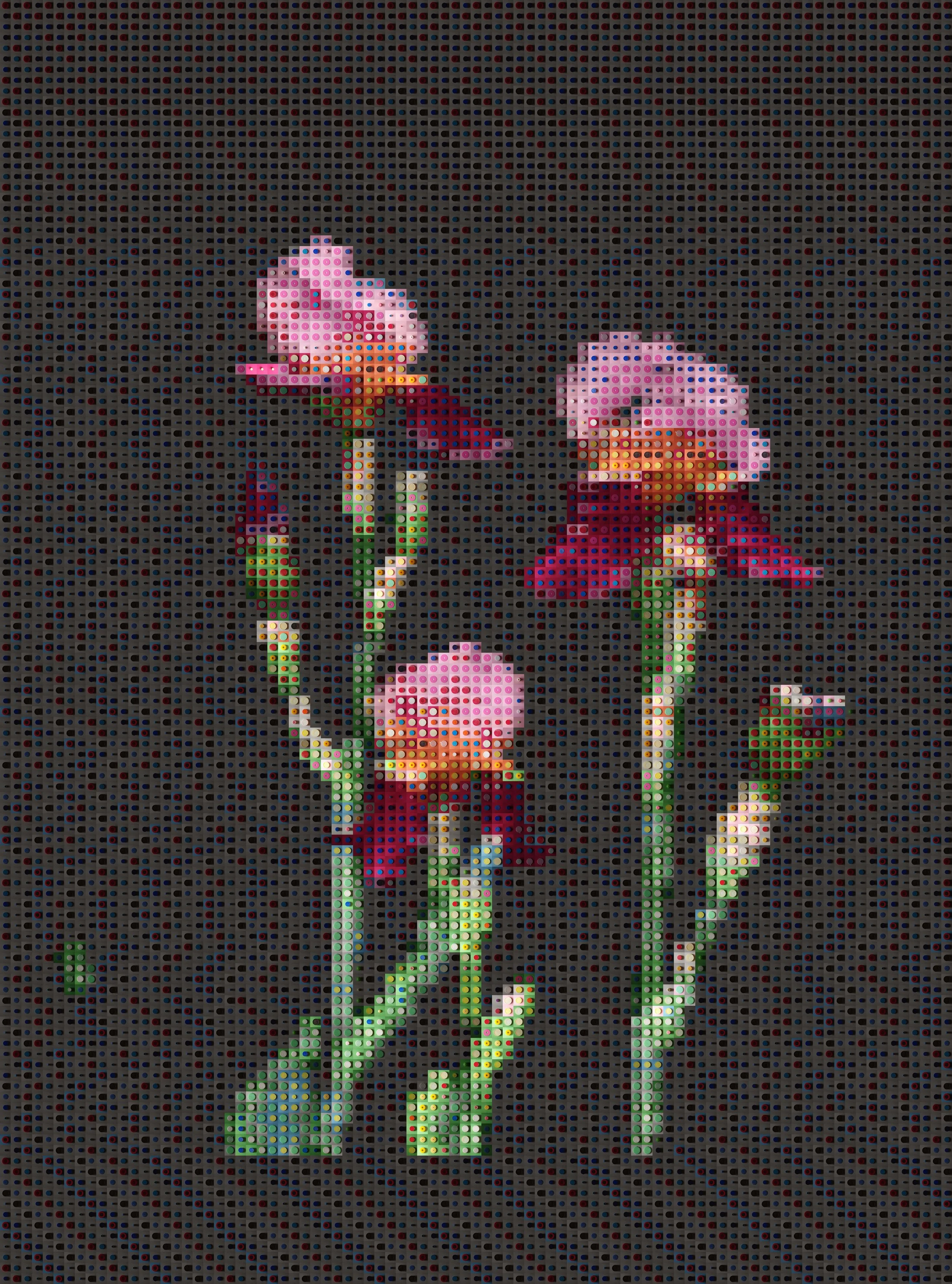 Iris 02  by Pimlico Arts Japan